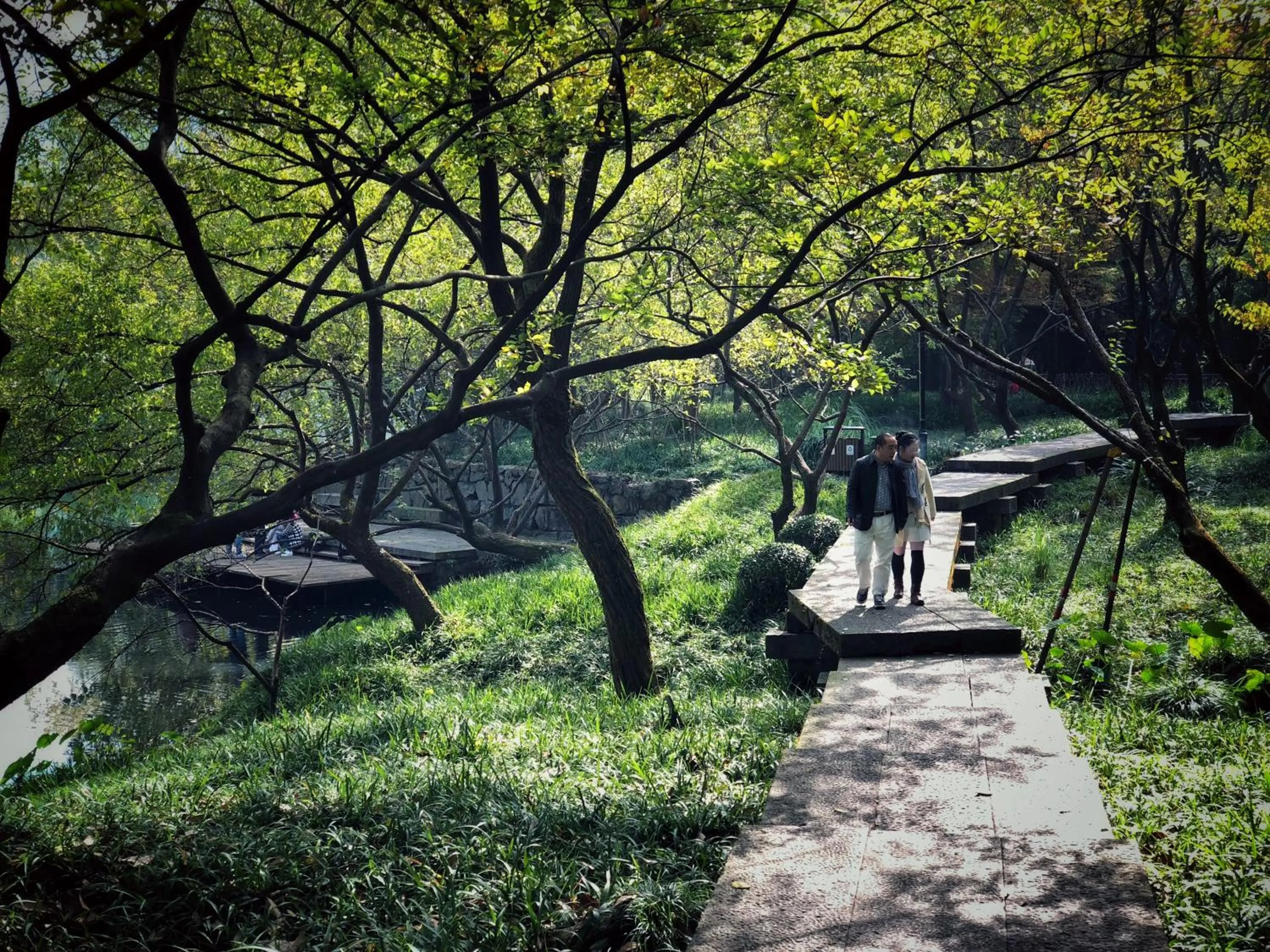 Natural landscape in Rock&Wood Cozy House