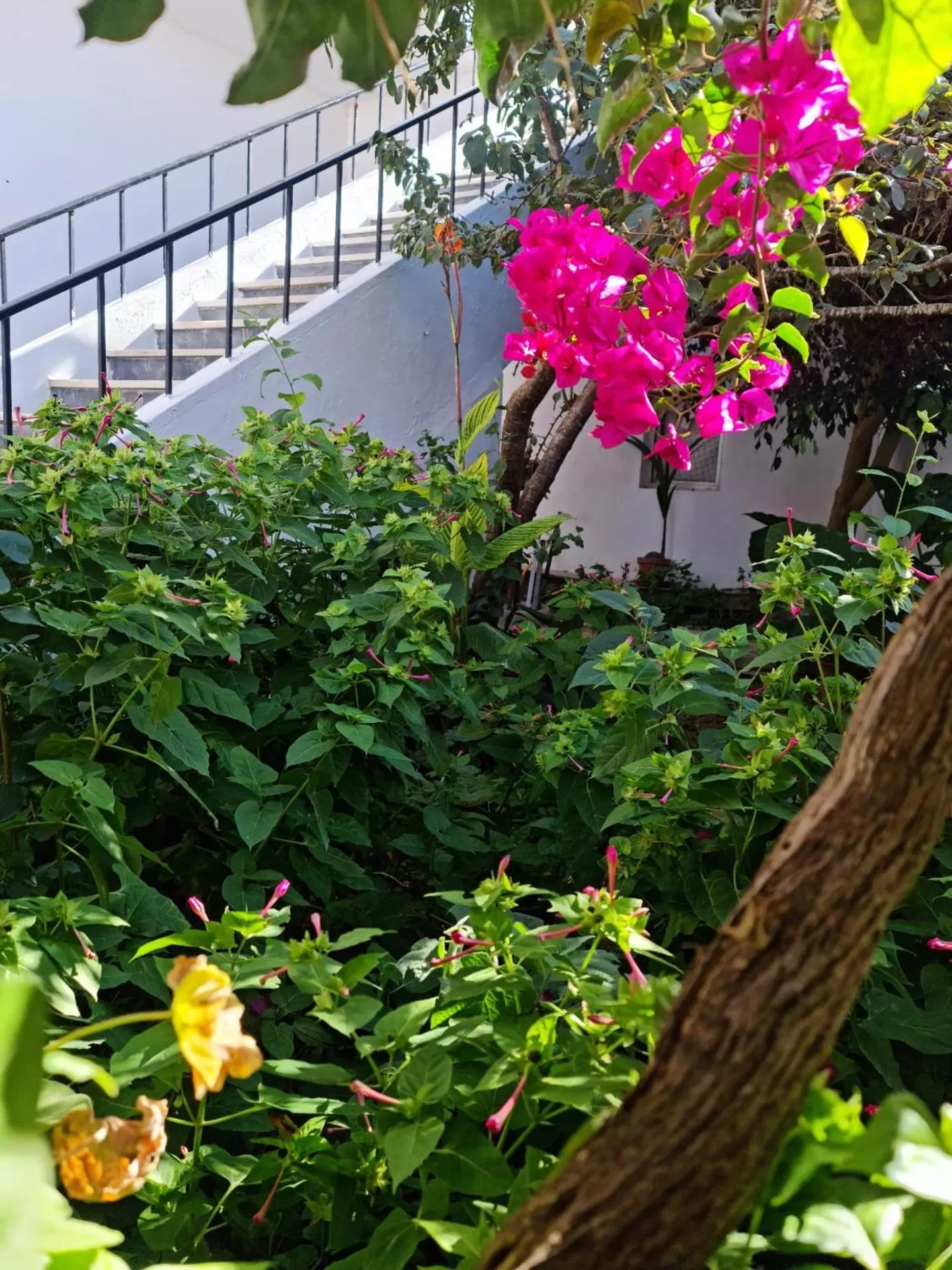 Alojamento Local Largo da Igreja