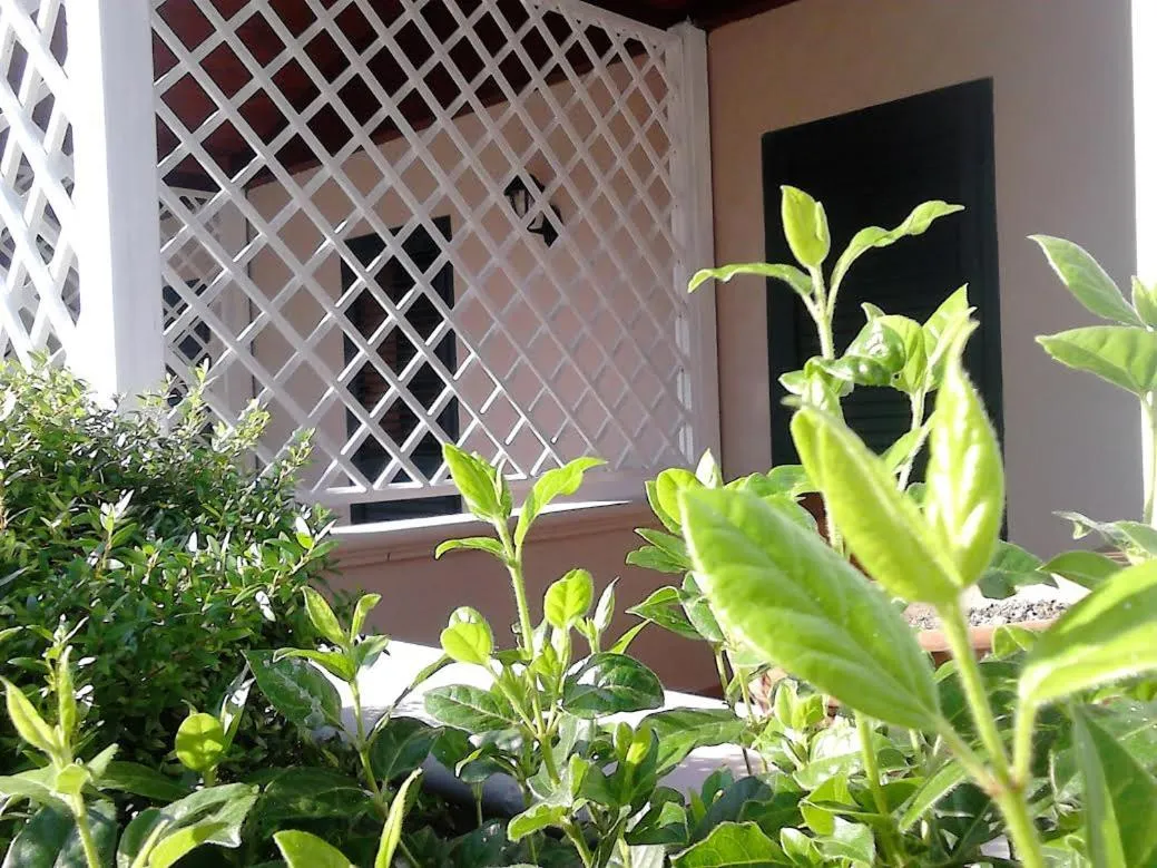 Other, Patio/Outdoor Area in Green Park Hotel