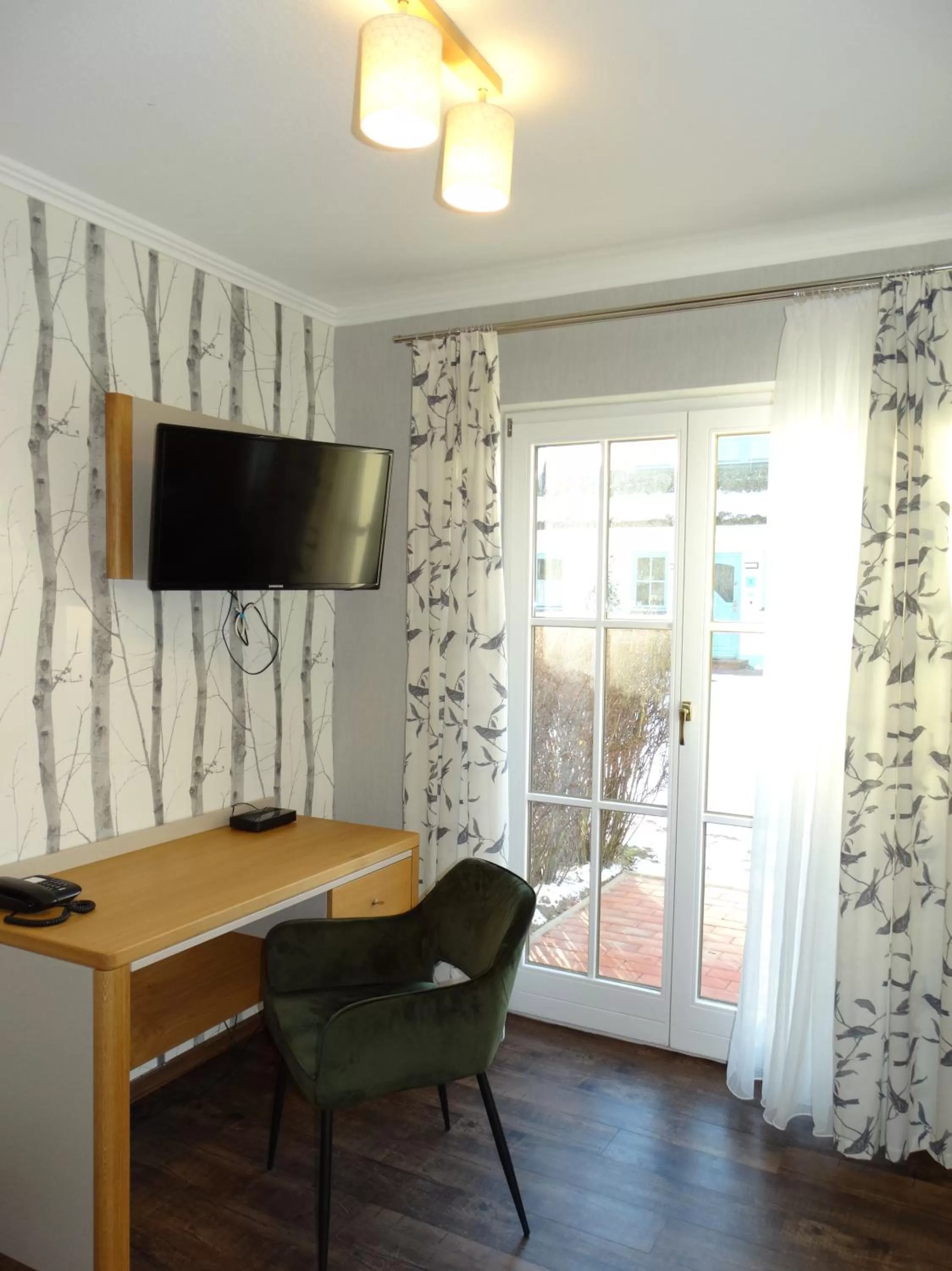 TV and multimedia in Landhotel Kastanienallee Putbus