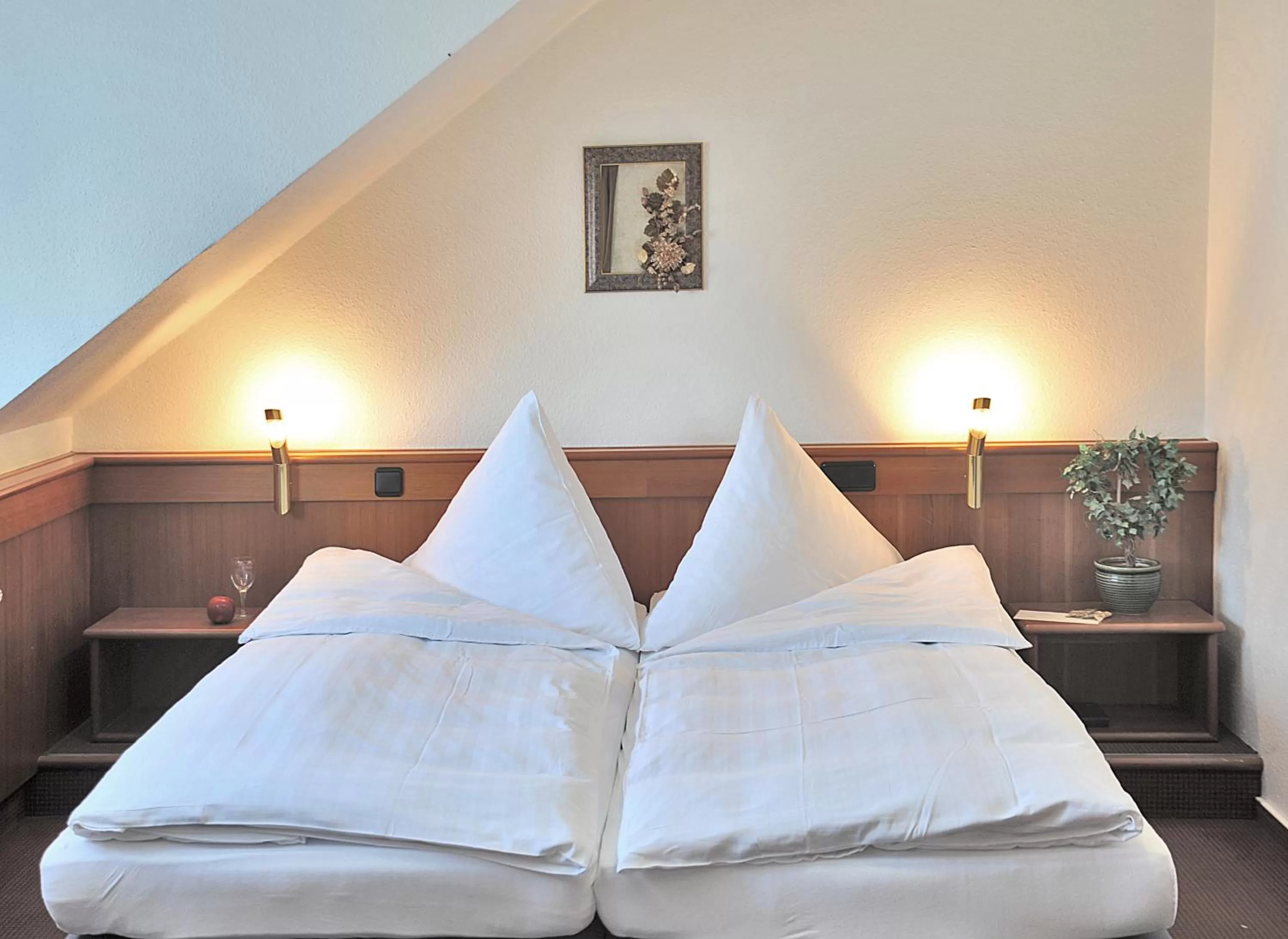 Double Room in Hotel und Landhaus 'Kastanie'