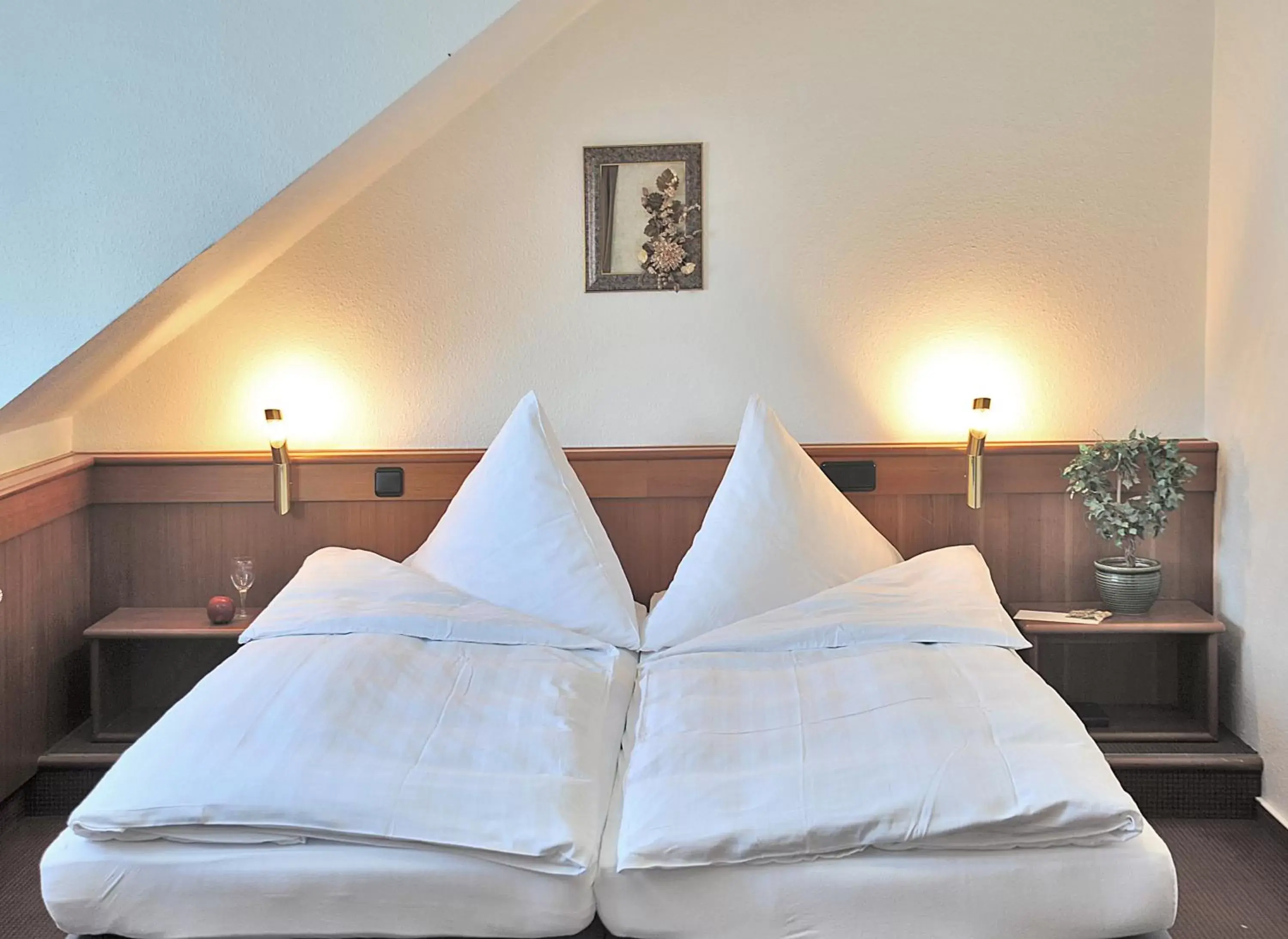 Double Room in Hotel und Landhaus 'Kastanie' Double Room in Hotel und Landhaus 'Kastanie'