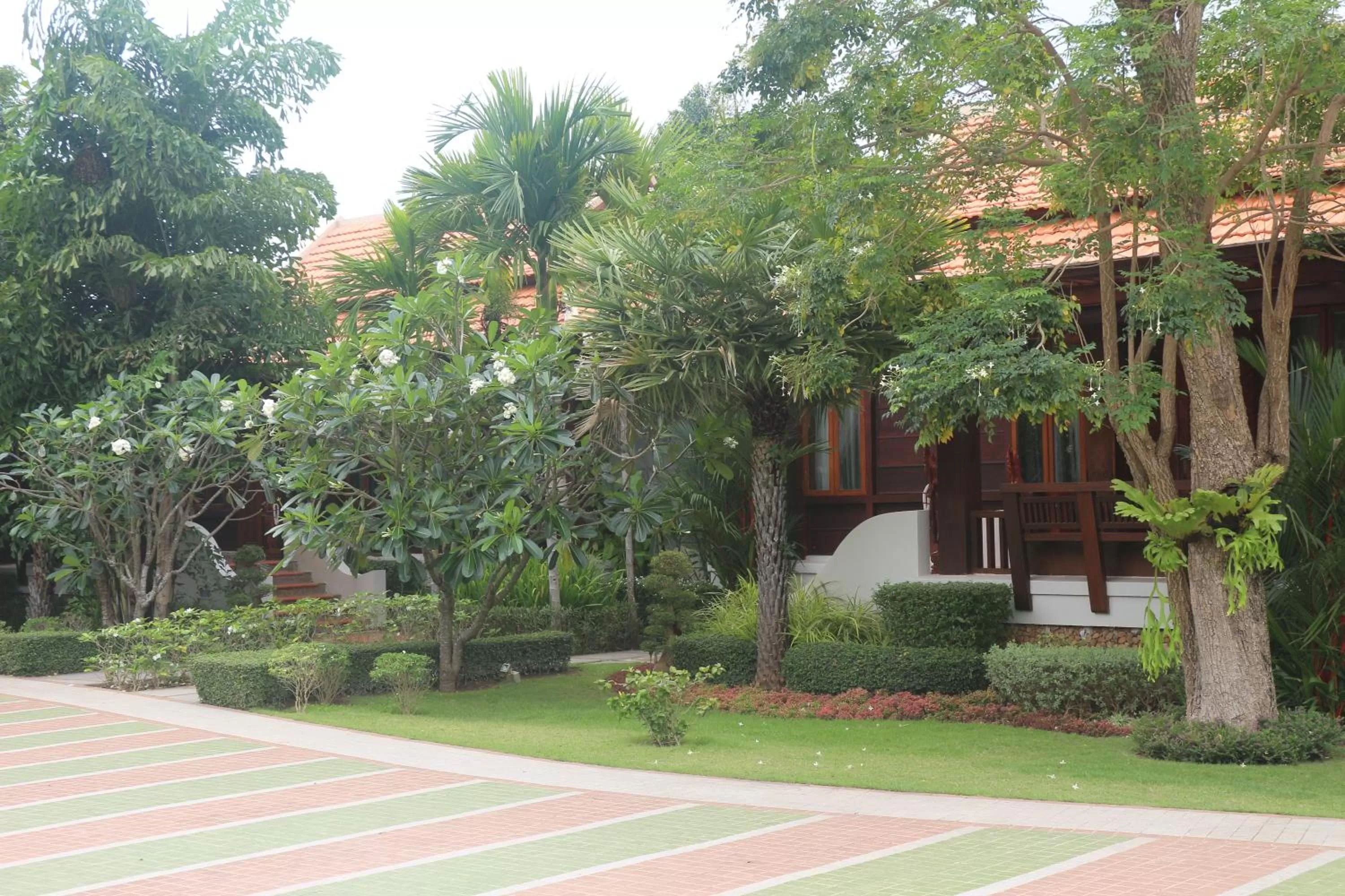 Garden view, Garden in Try Palace Resort-Kep