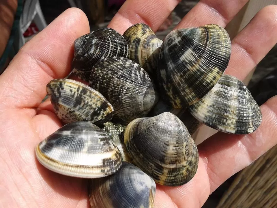 Restaurant/places to eat in Ferrari