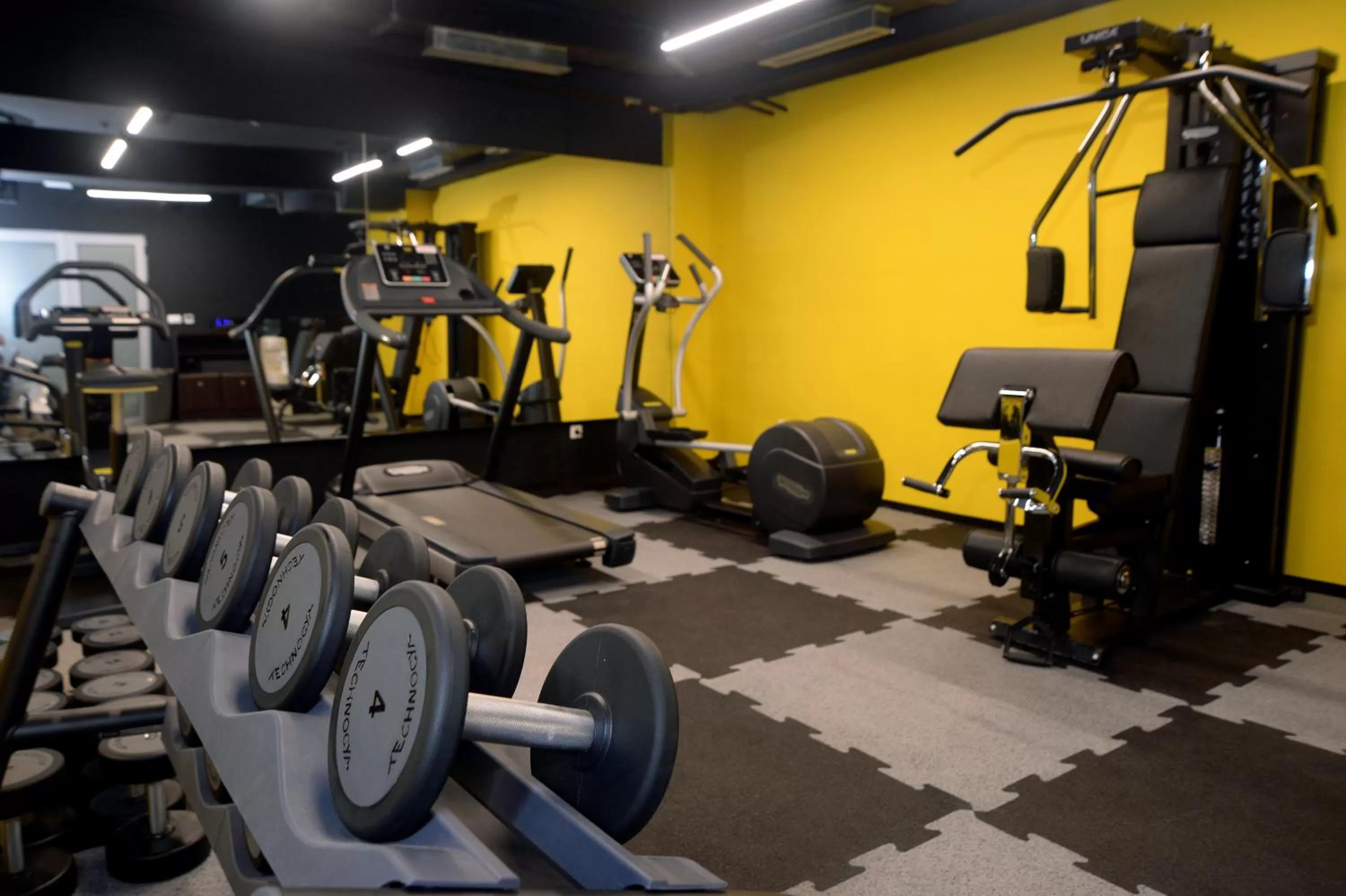 Fitness centre/facilities in Hotel Alexandar II