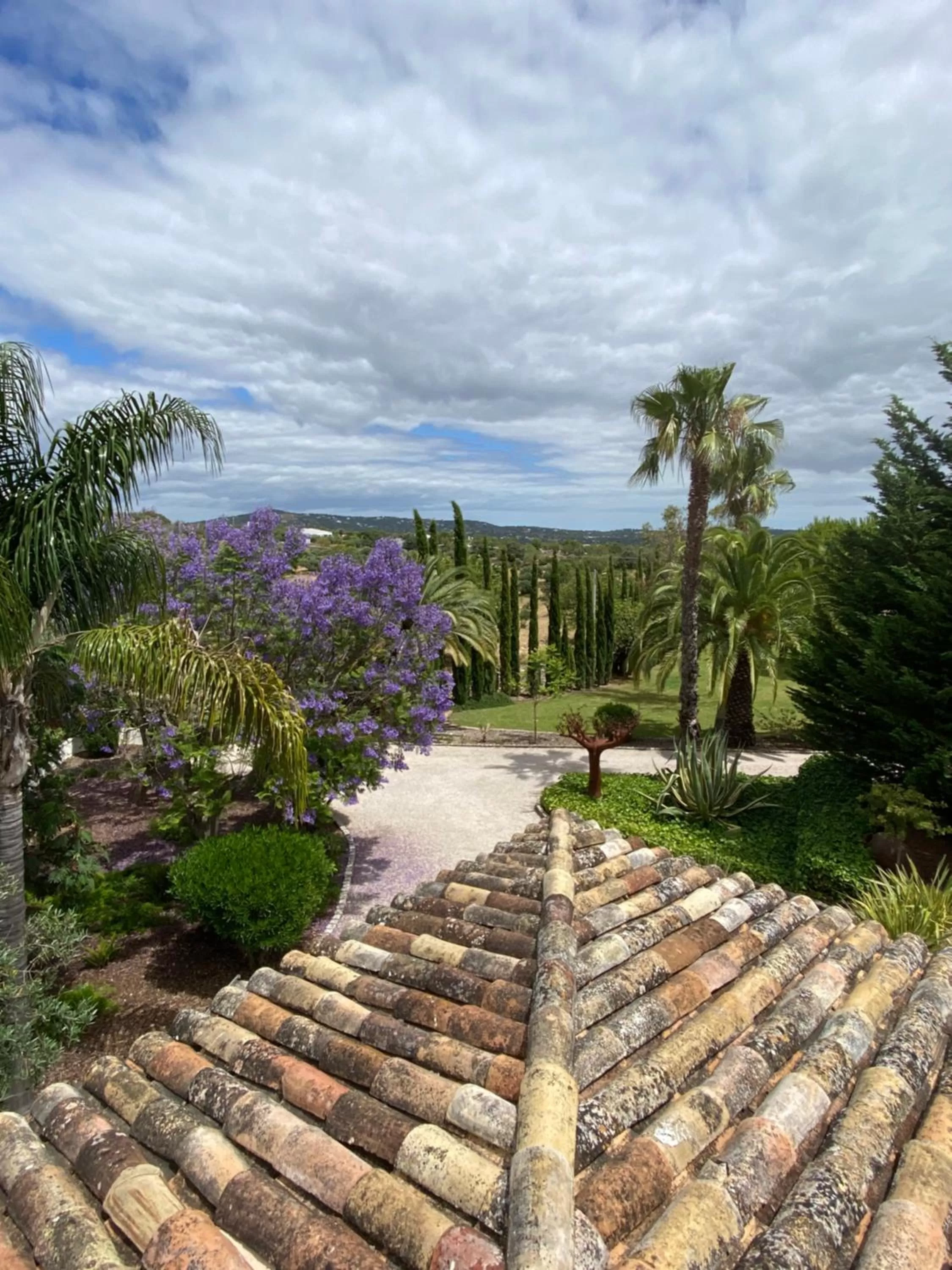 Garden view in Adamah Vayu -Casa Serenida