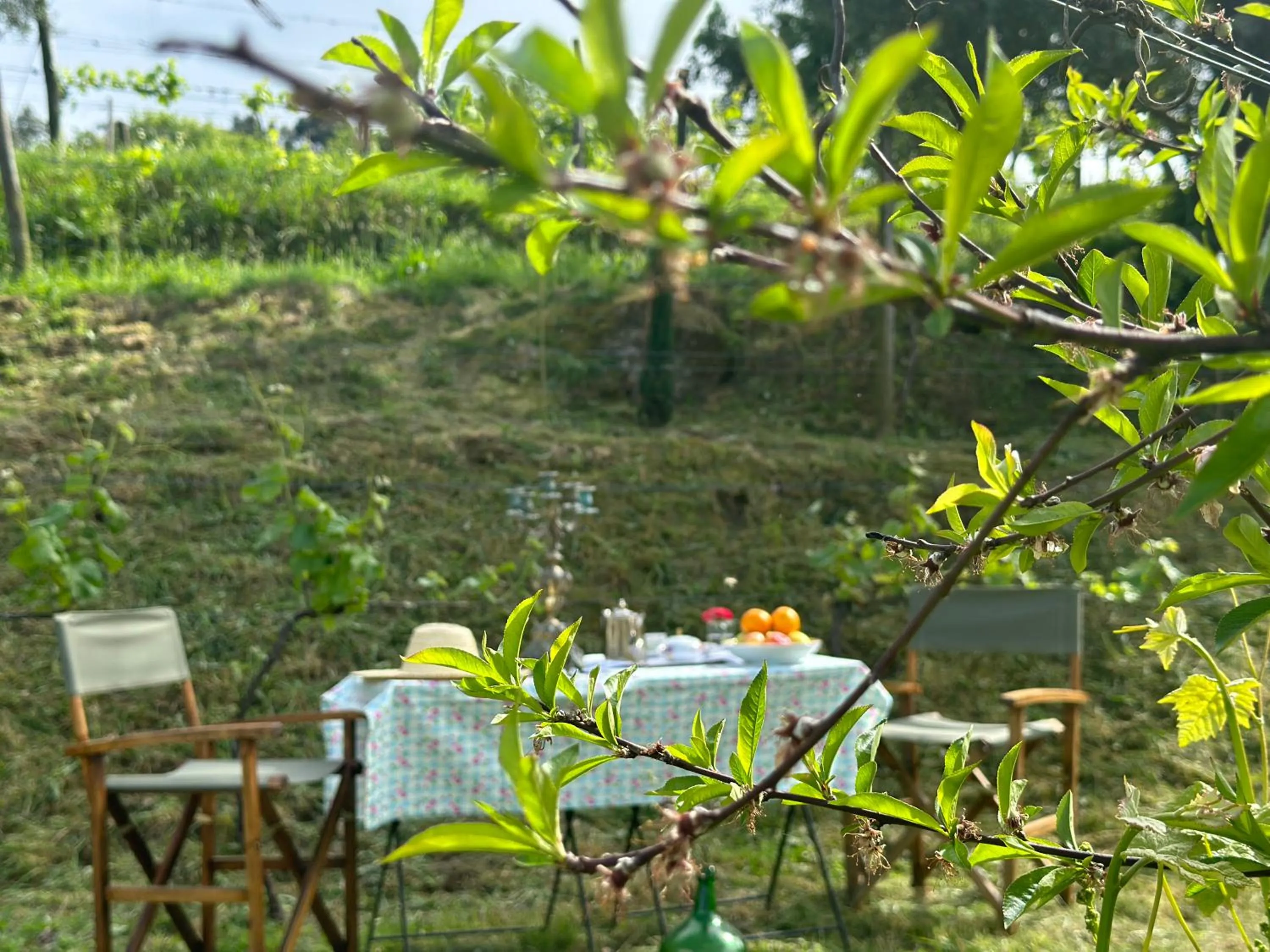 Restaurant/places to eat in Carmo's Boutique Hotel - Small Luxury Hotels of the World