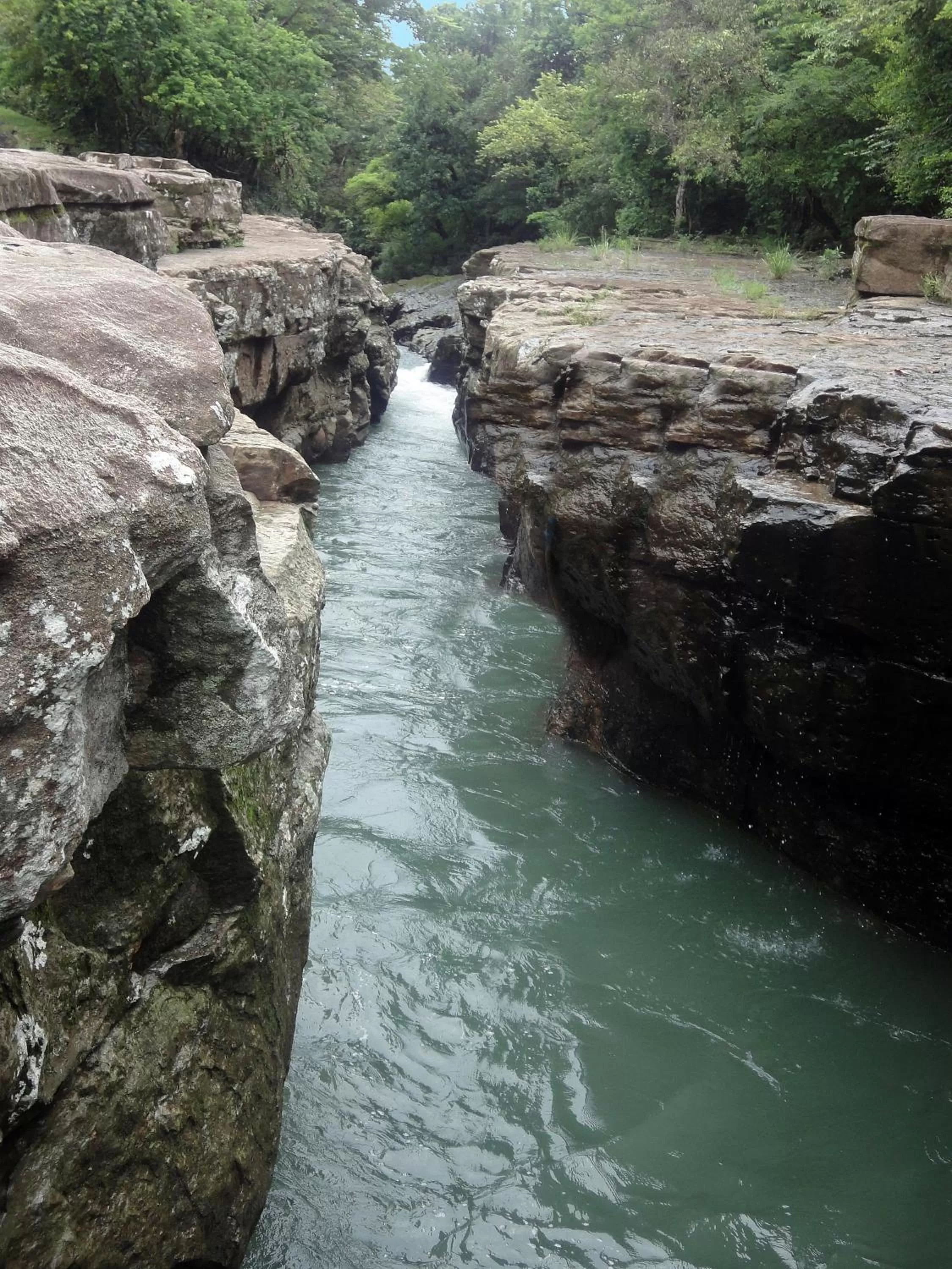 Entertainment in Hotel Panamonte