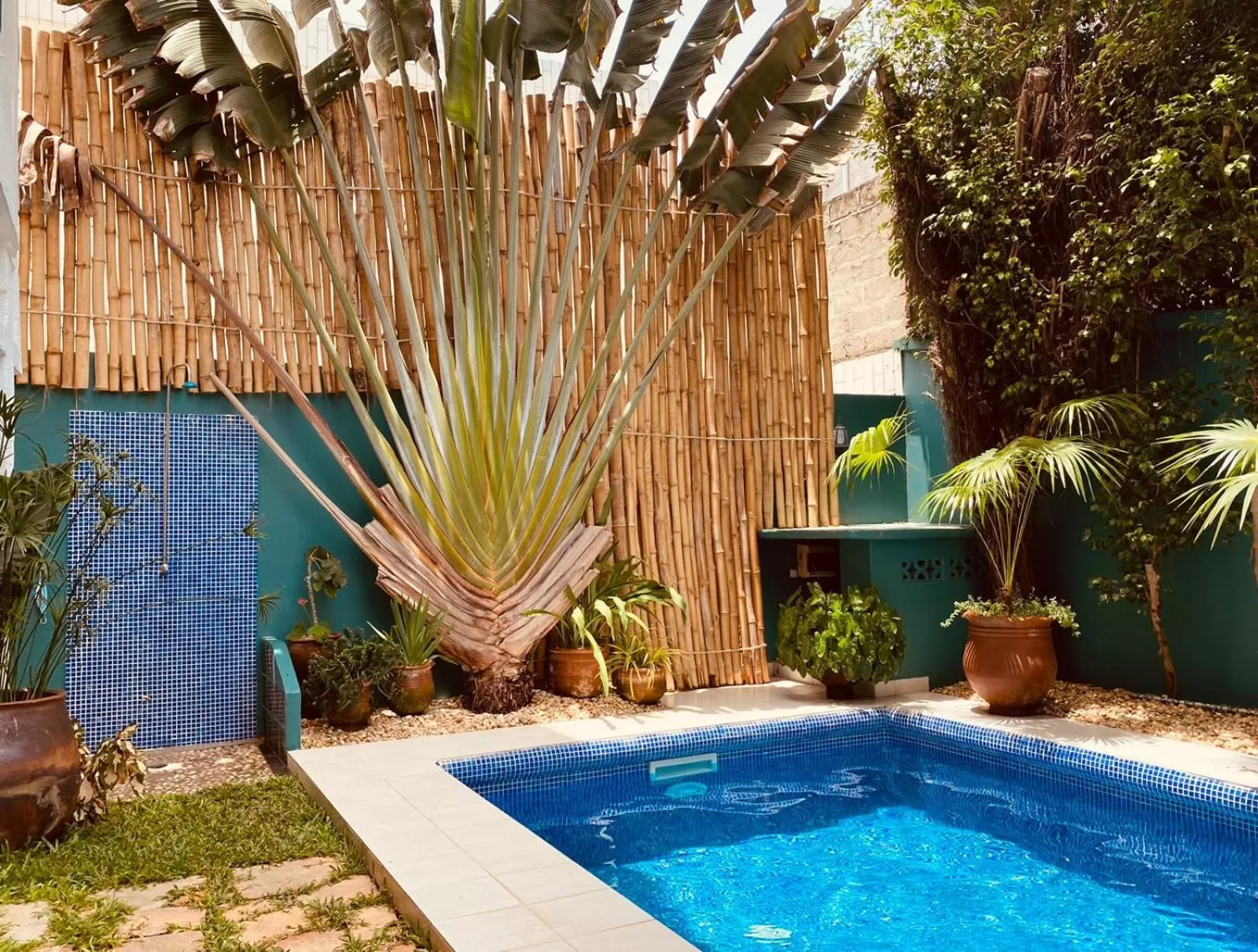 Swimming Pool in L'Oasis Guesthouse