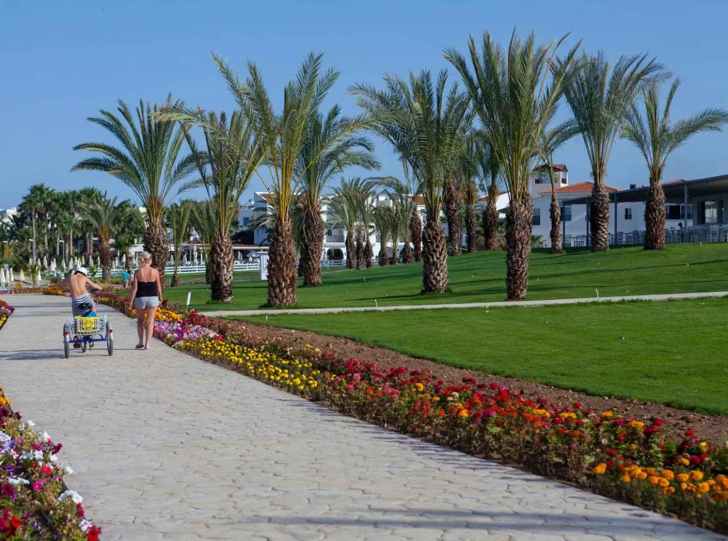 Garden in King Evelthon Beach Hotel & Resort