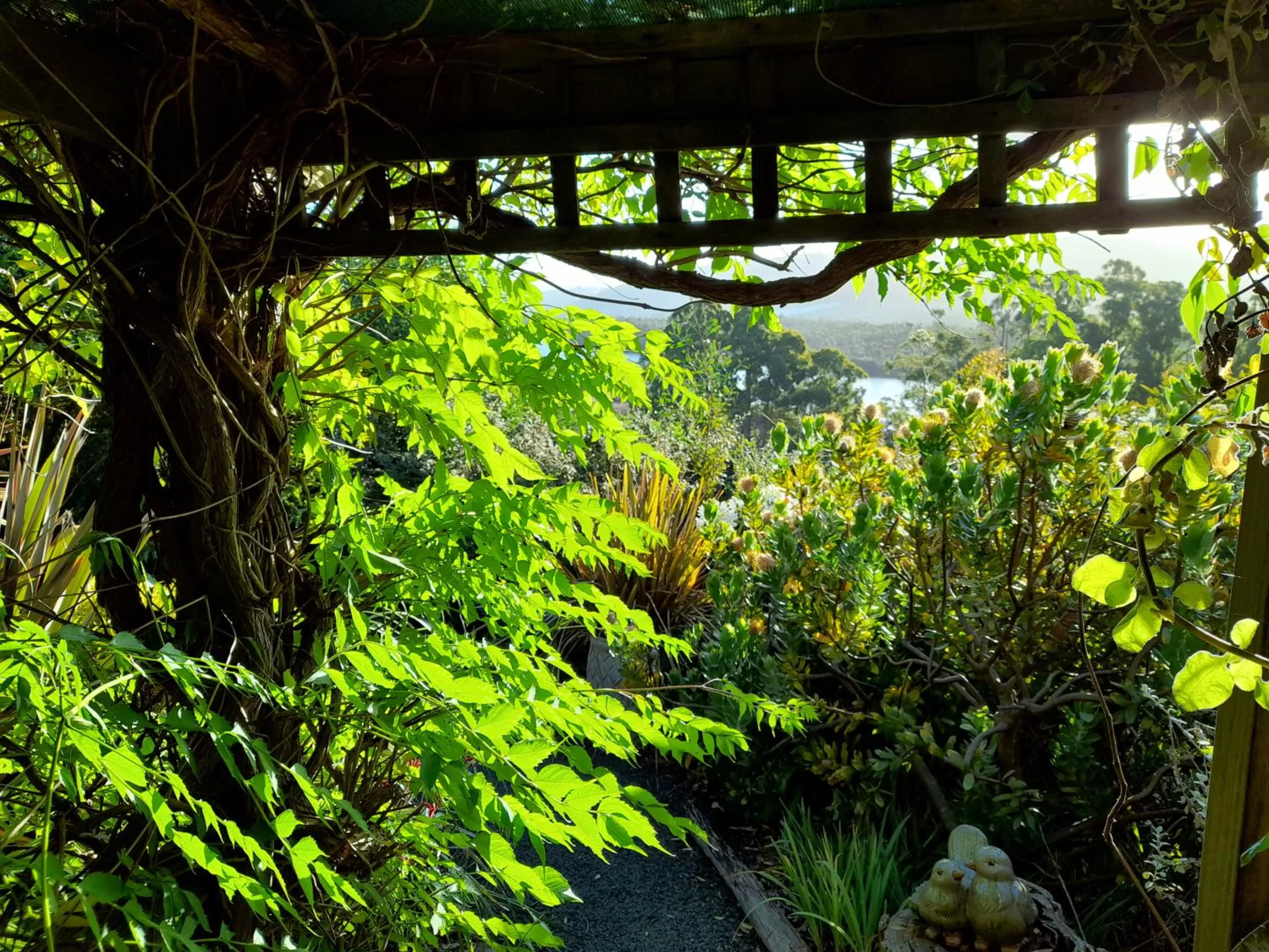 Hillside Bed and Breakfast