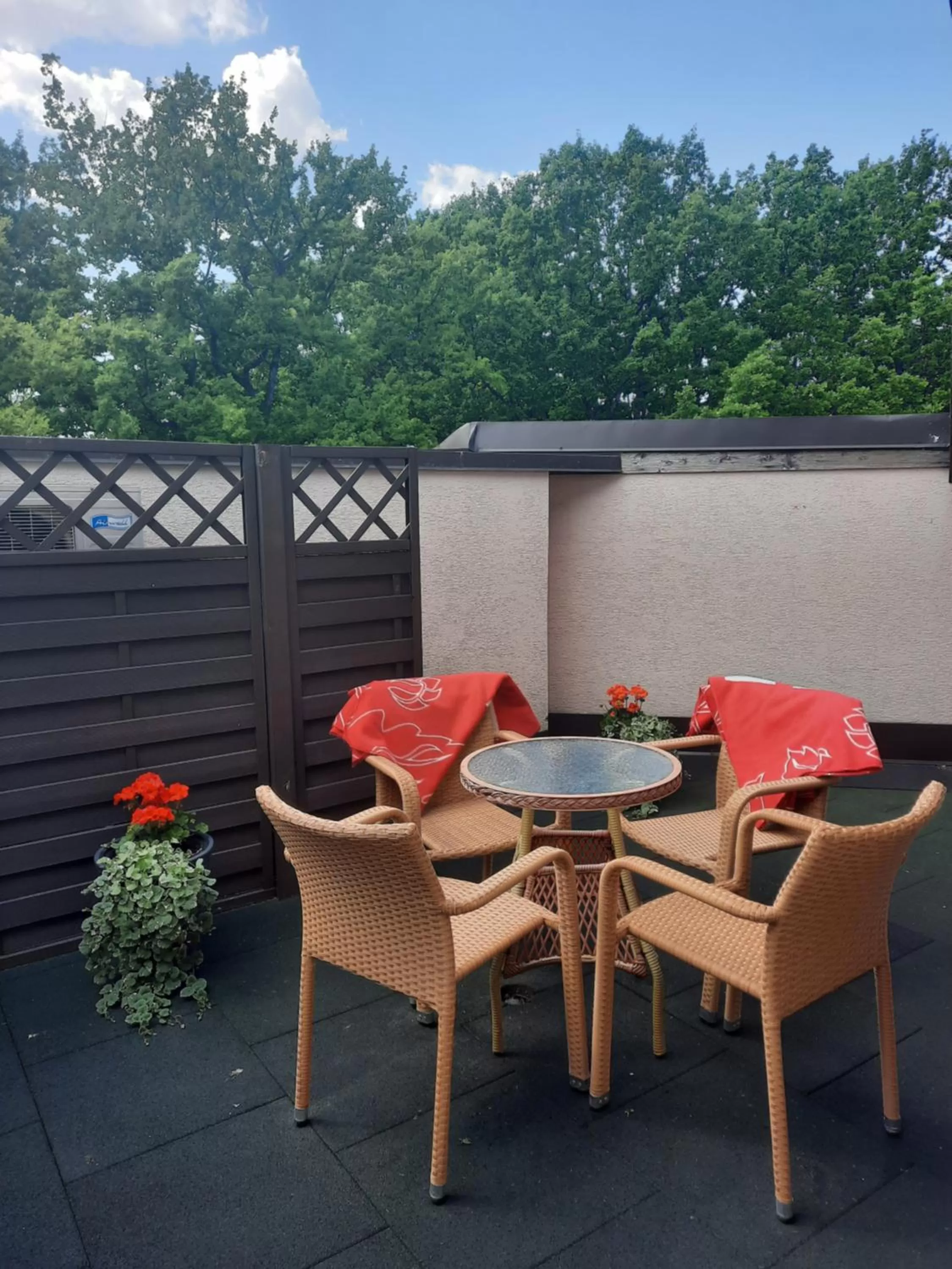 Balcony/Terrace in Hotel Pils with Self-Check in