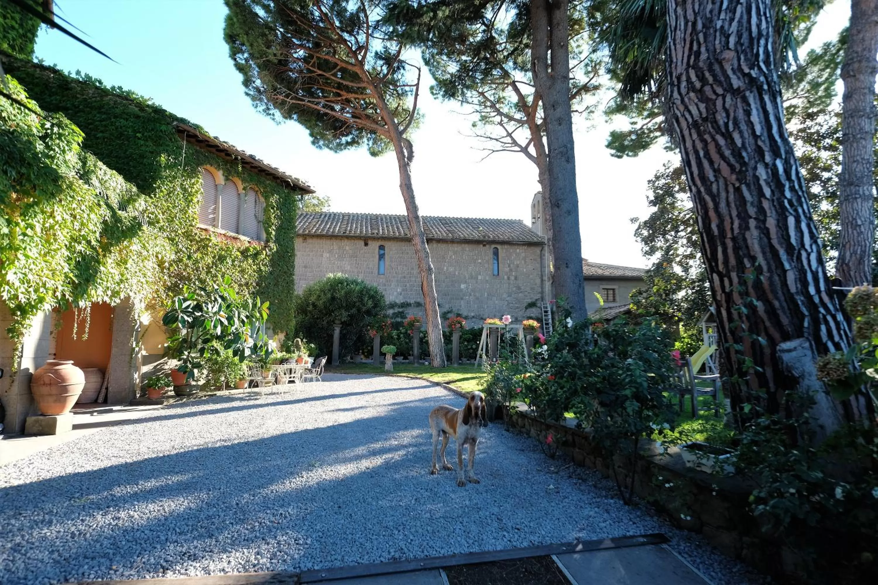 Pets in B&B A Piazza del Gesù