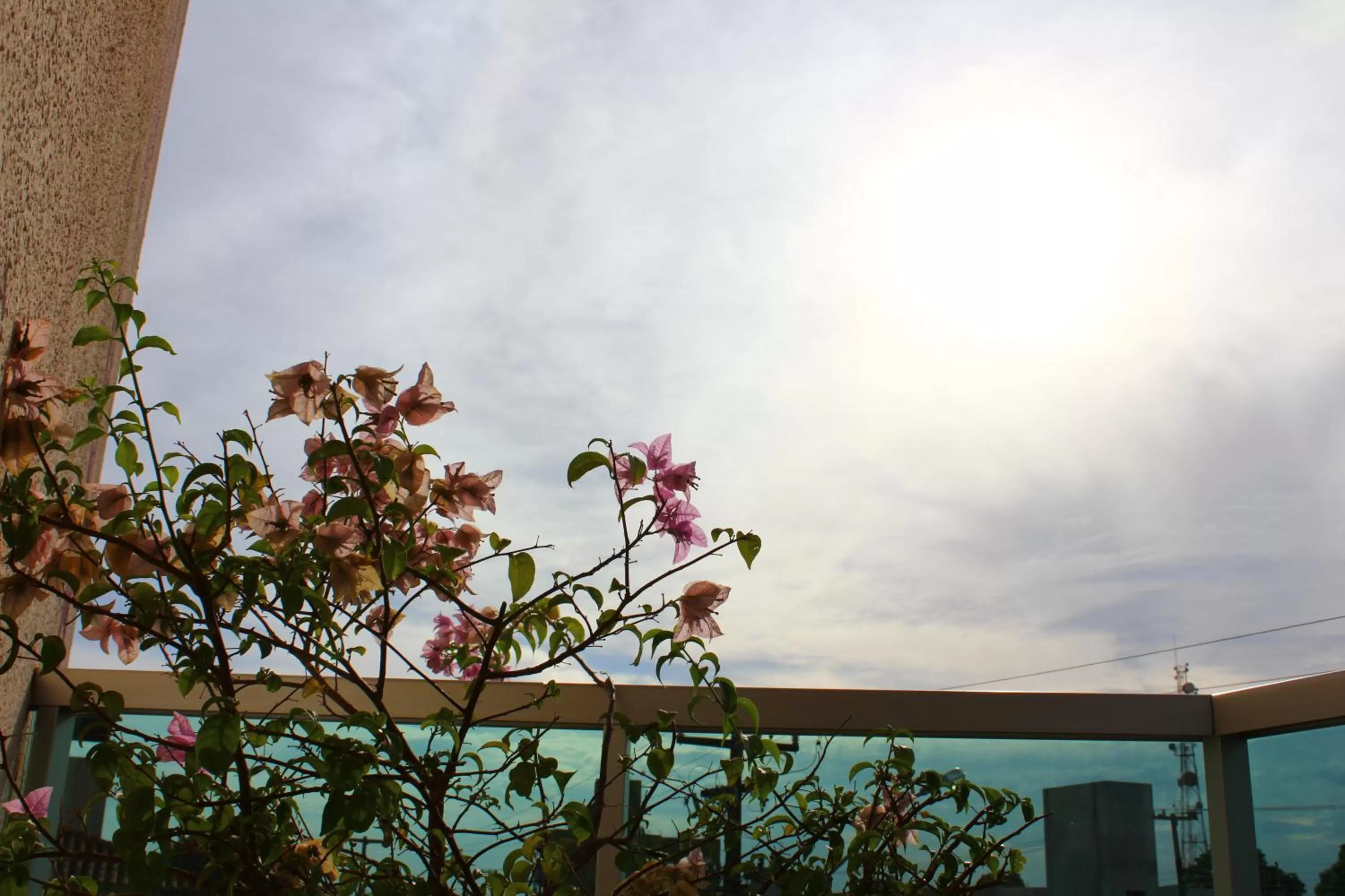 Balcony/Terrace in Hotel Villa Quati