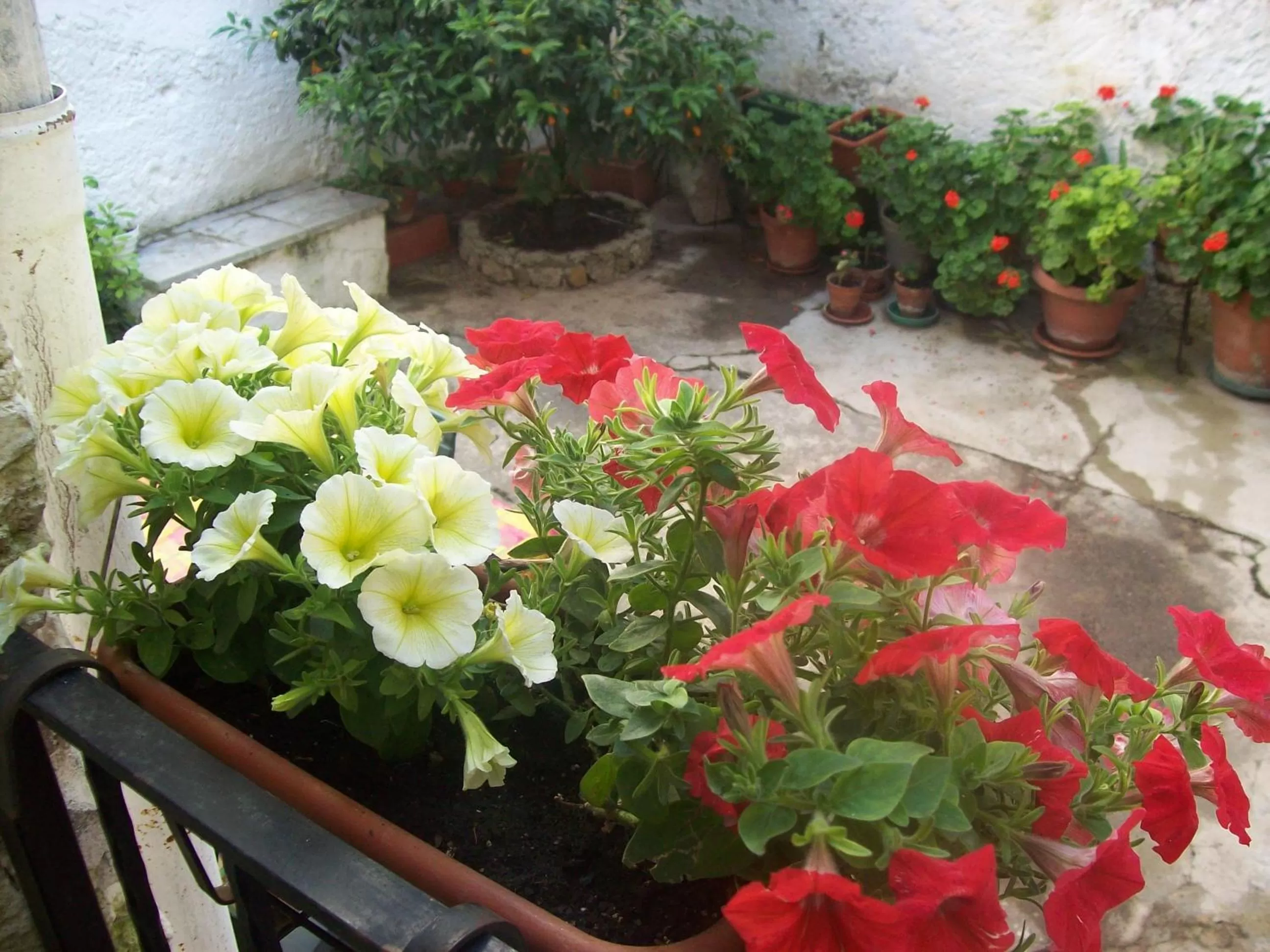 Balcony/Terrace in Casamuseo del Risorgimento