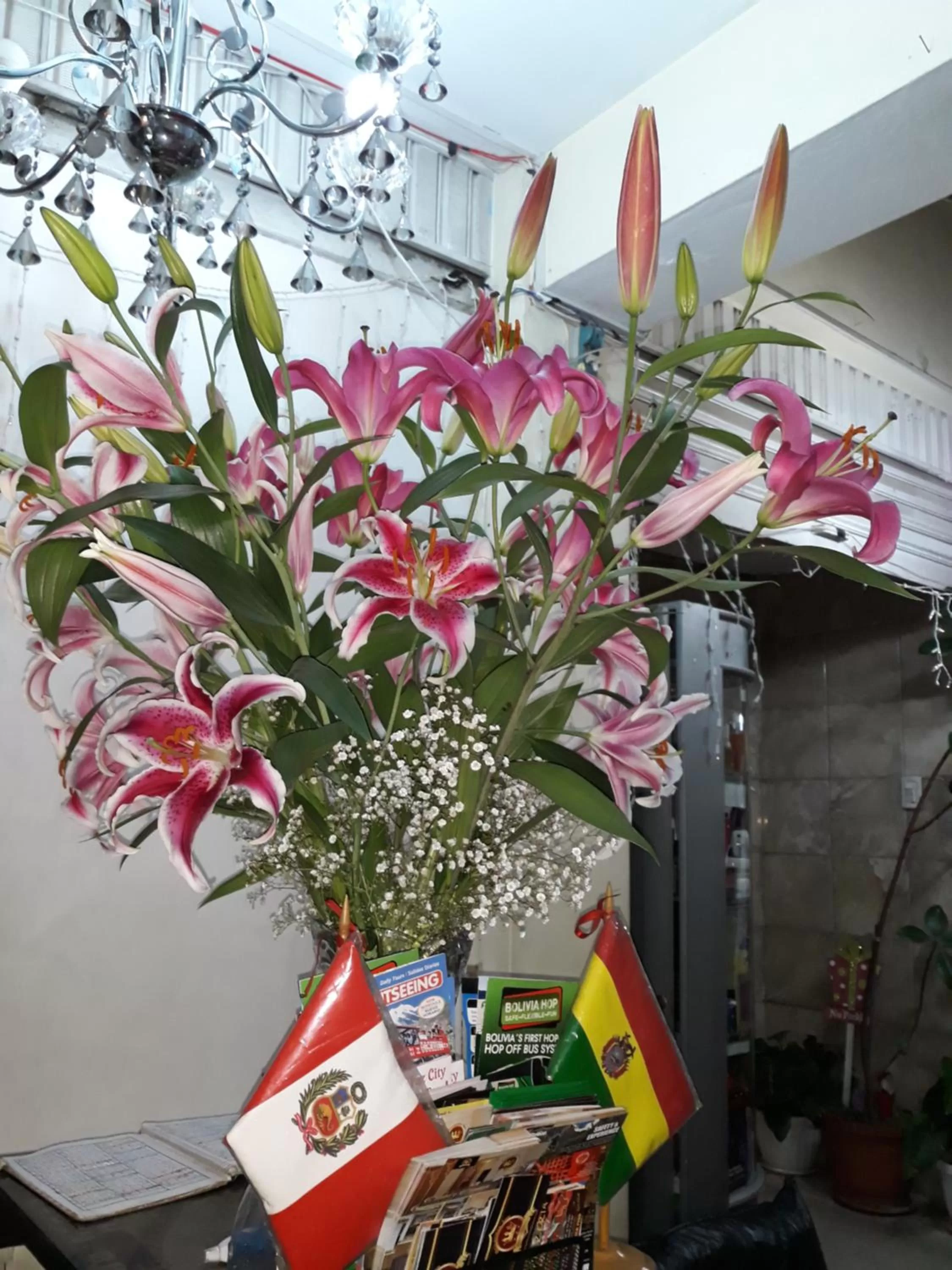 Hostal Terrabella SRL