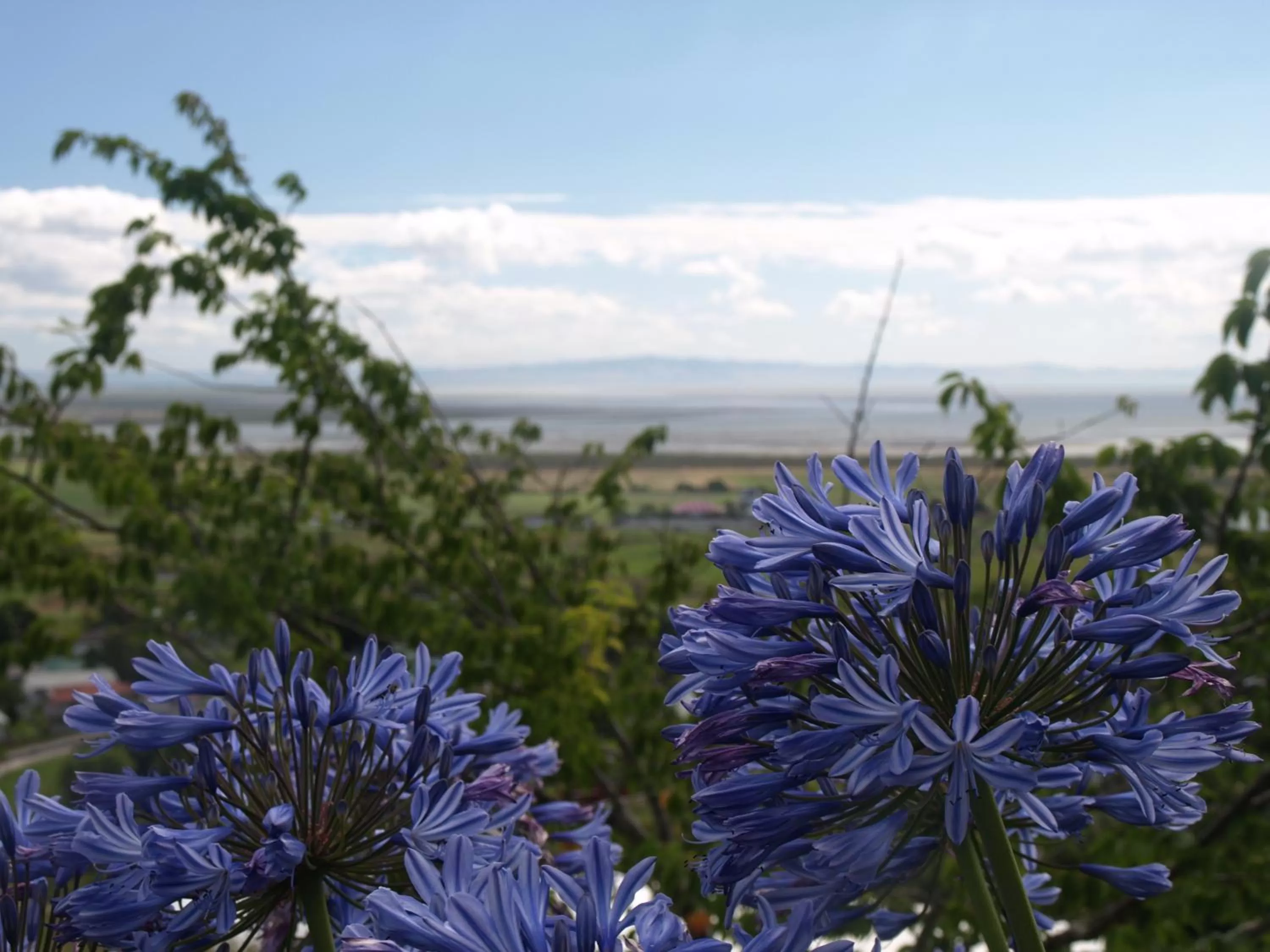 Spring in Grafton Cottage & Chalets