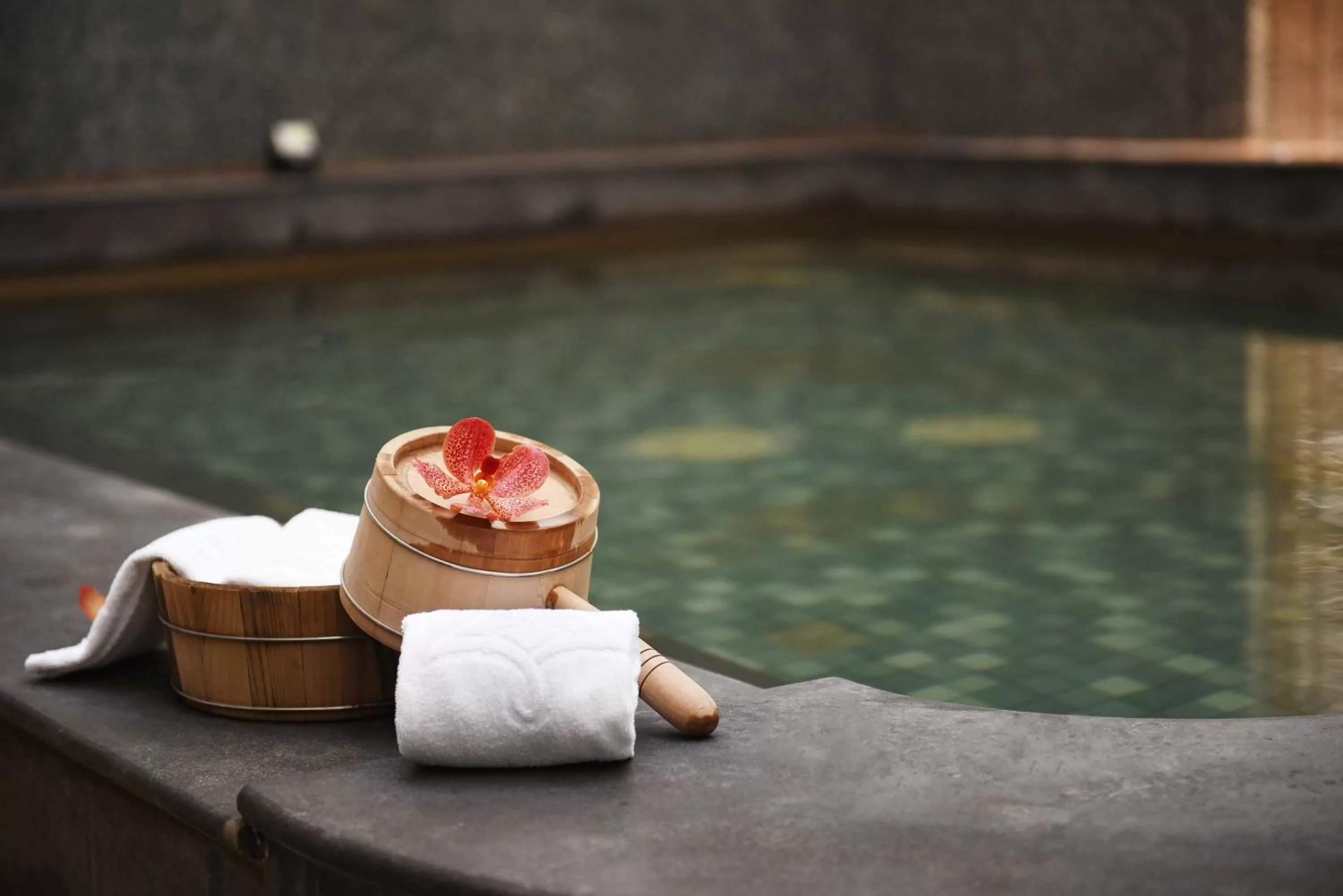 Sauna in Fullon Hotel Taoyuan