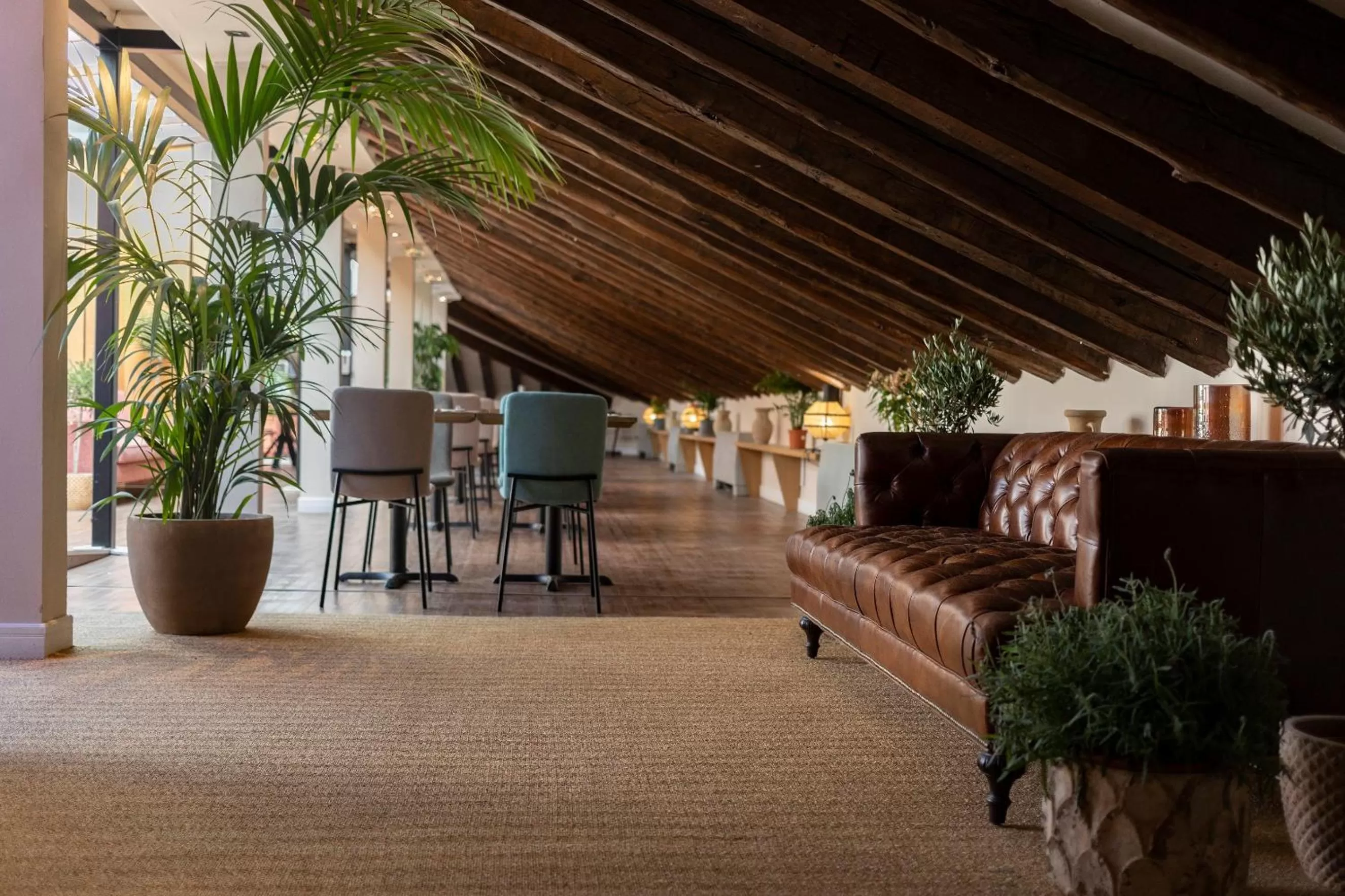 Living room in Petit Palace Preciados