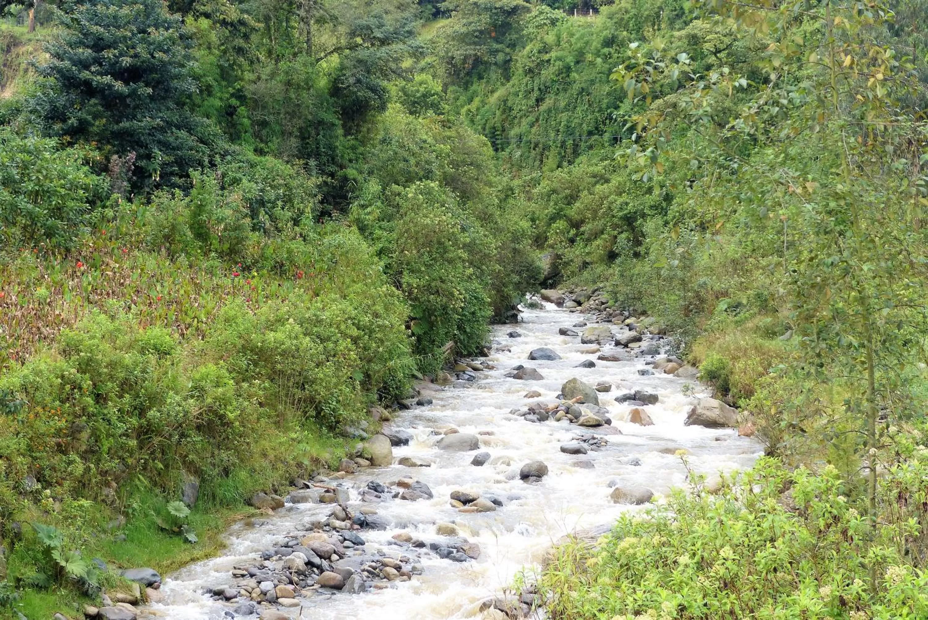 Nearby landmark in Hotel Termales Tierra Viva
