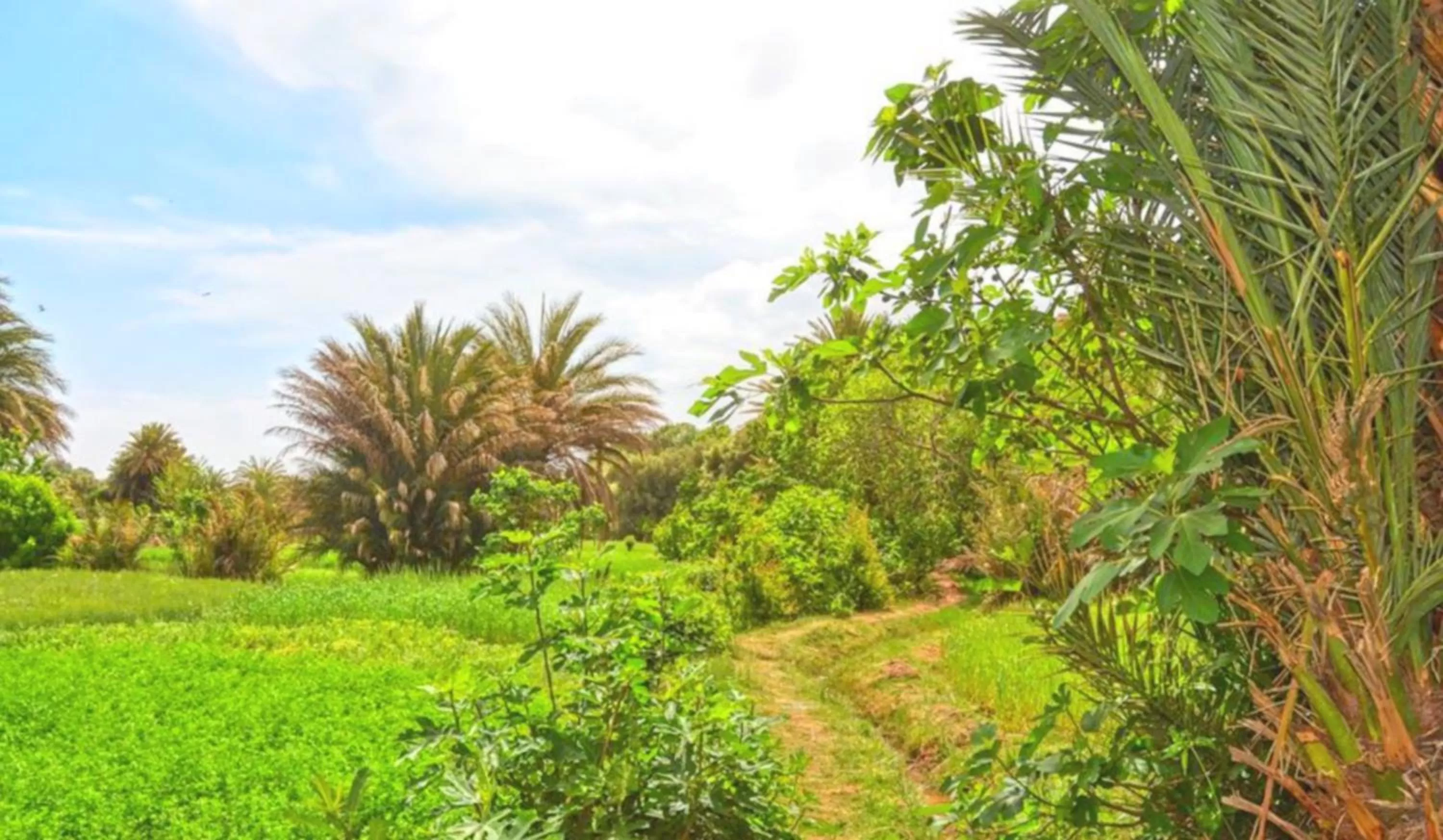Hiking in Hotel Restaurant La Kasbah