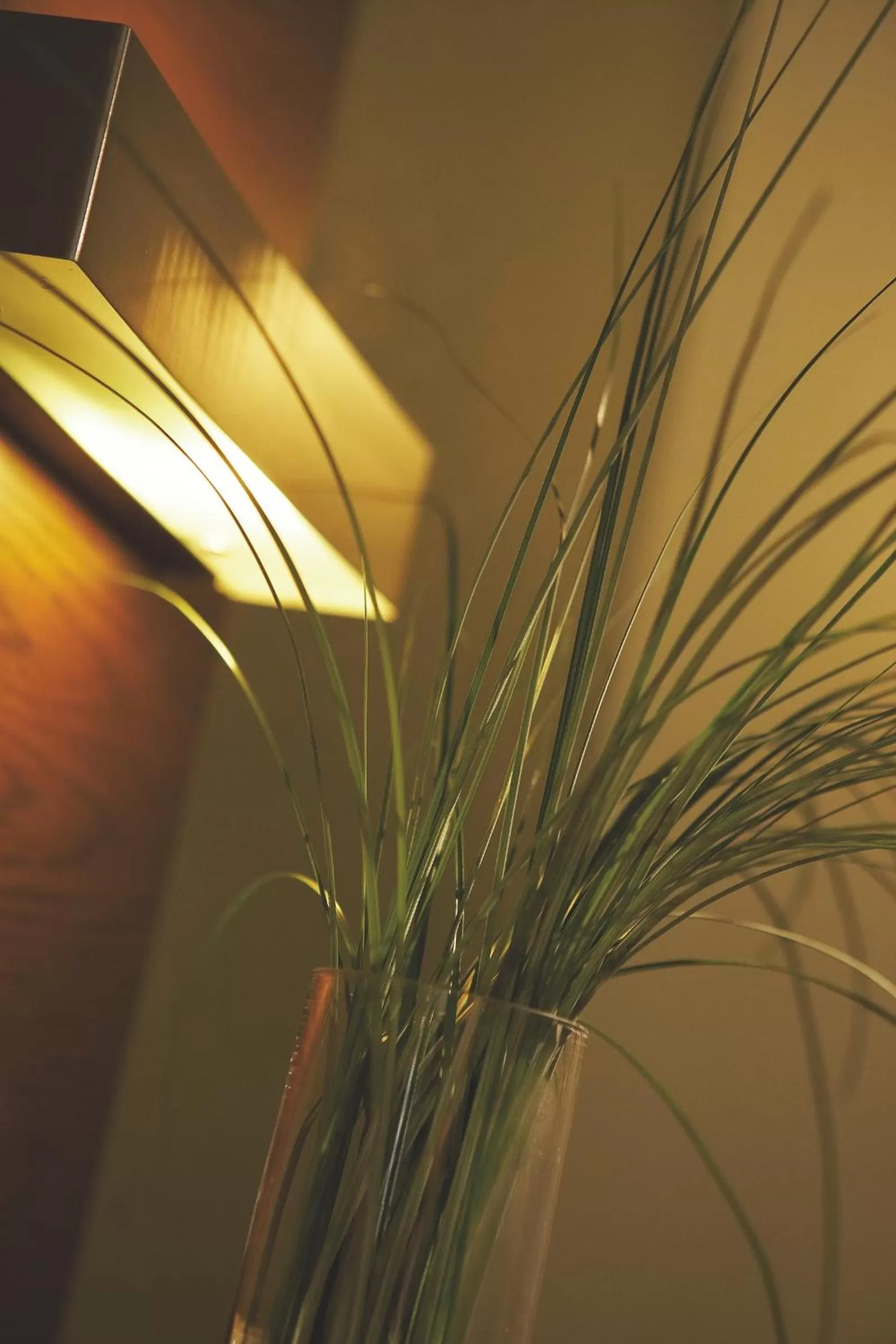 Decorative detail in Rotonda Hotel