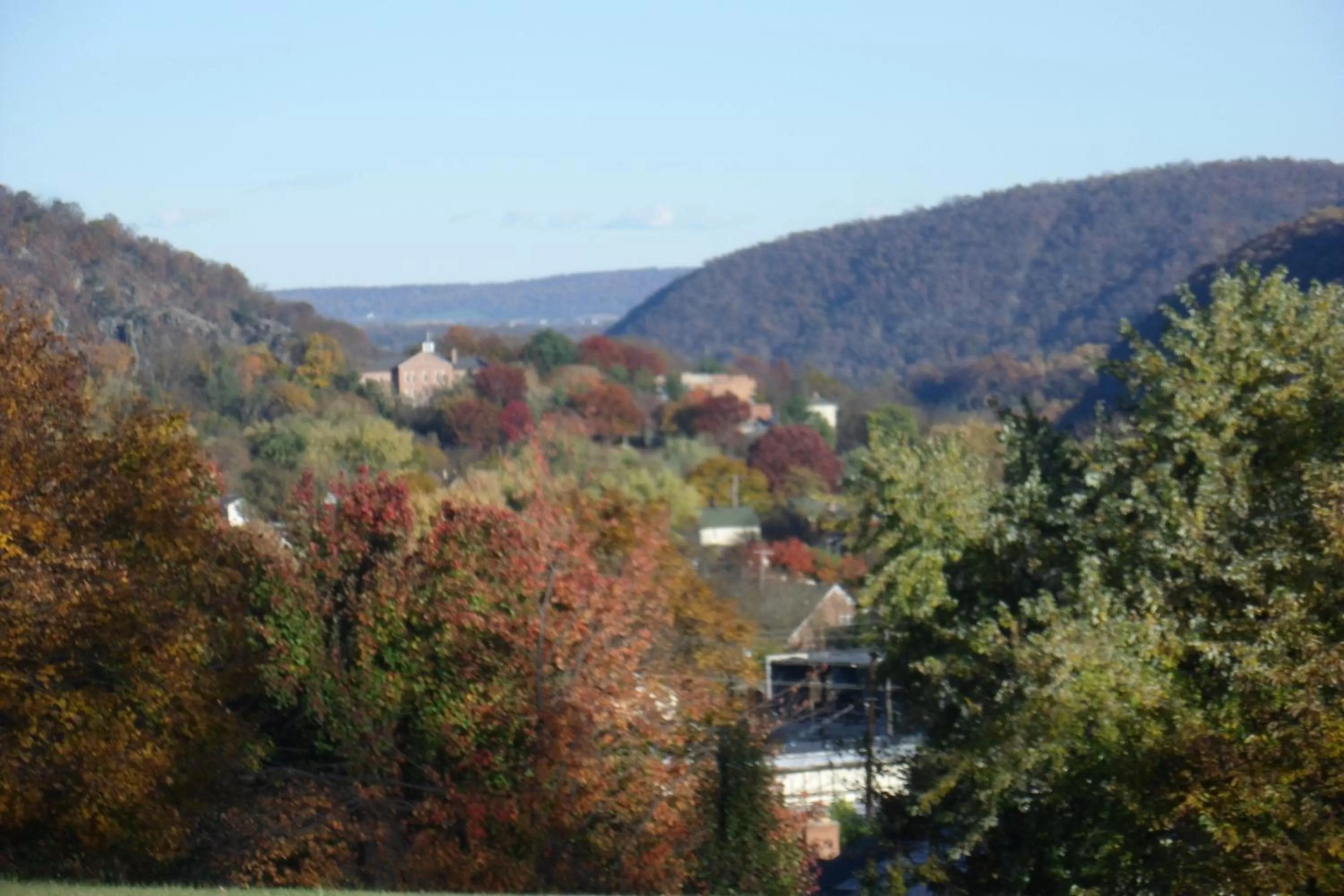 View (from property/room) in Cantuta Inn