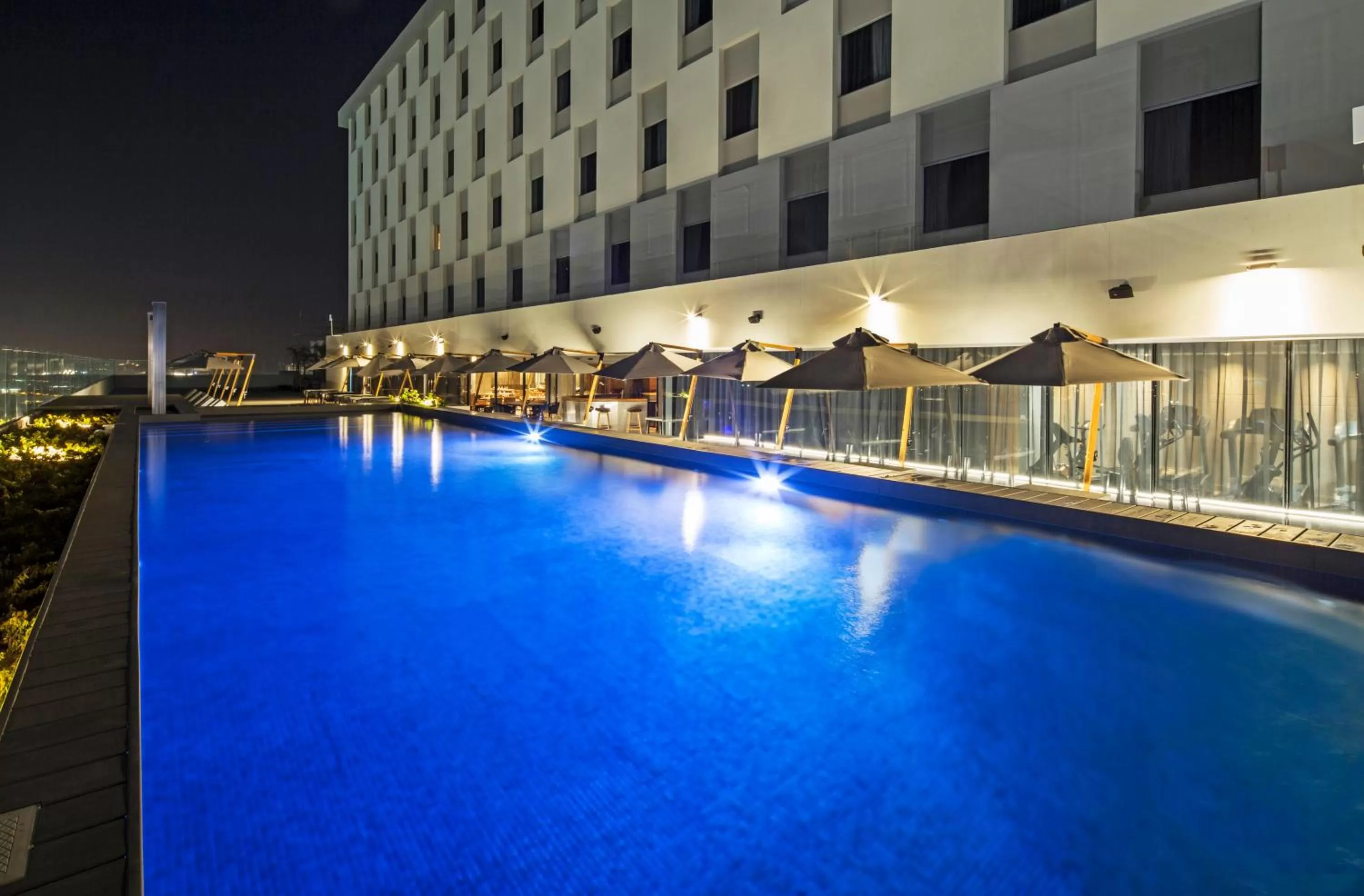 Swimming pool in Movich Buro 51