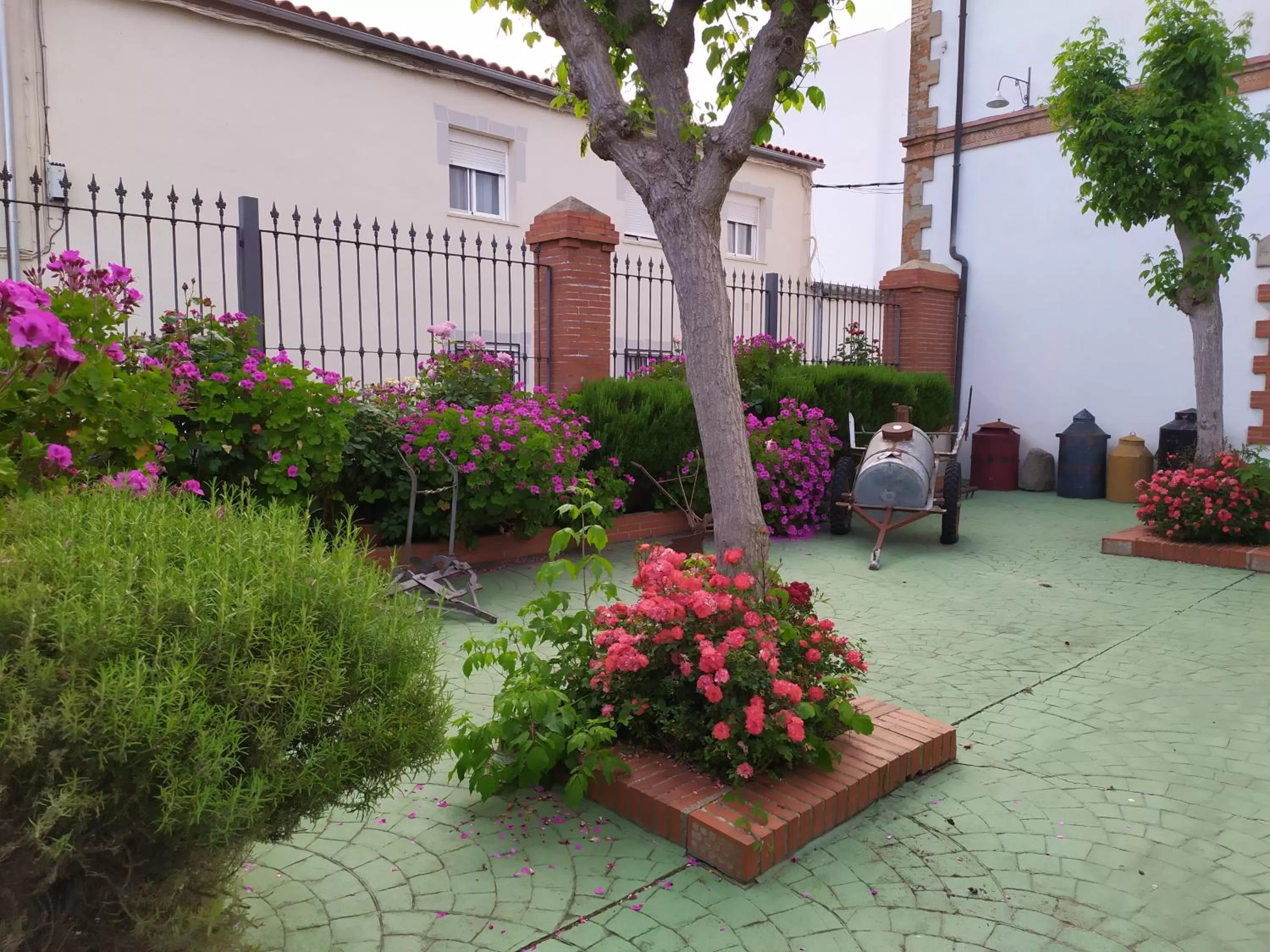 Facade/entrance in Hospedium Hotel Rural Soterraña
