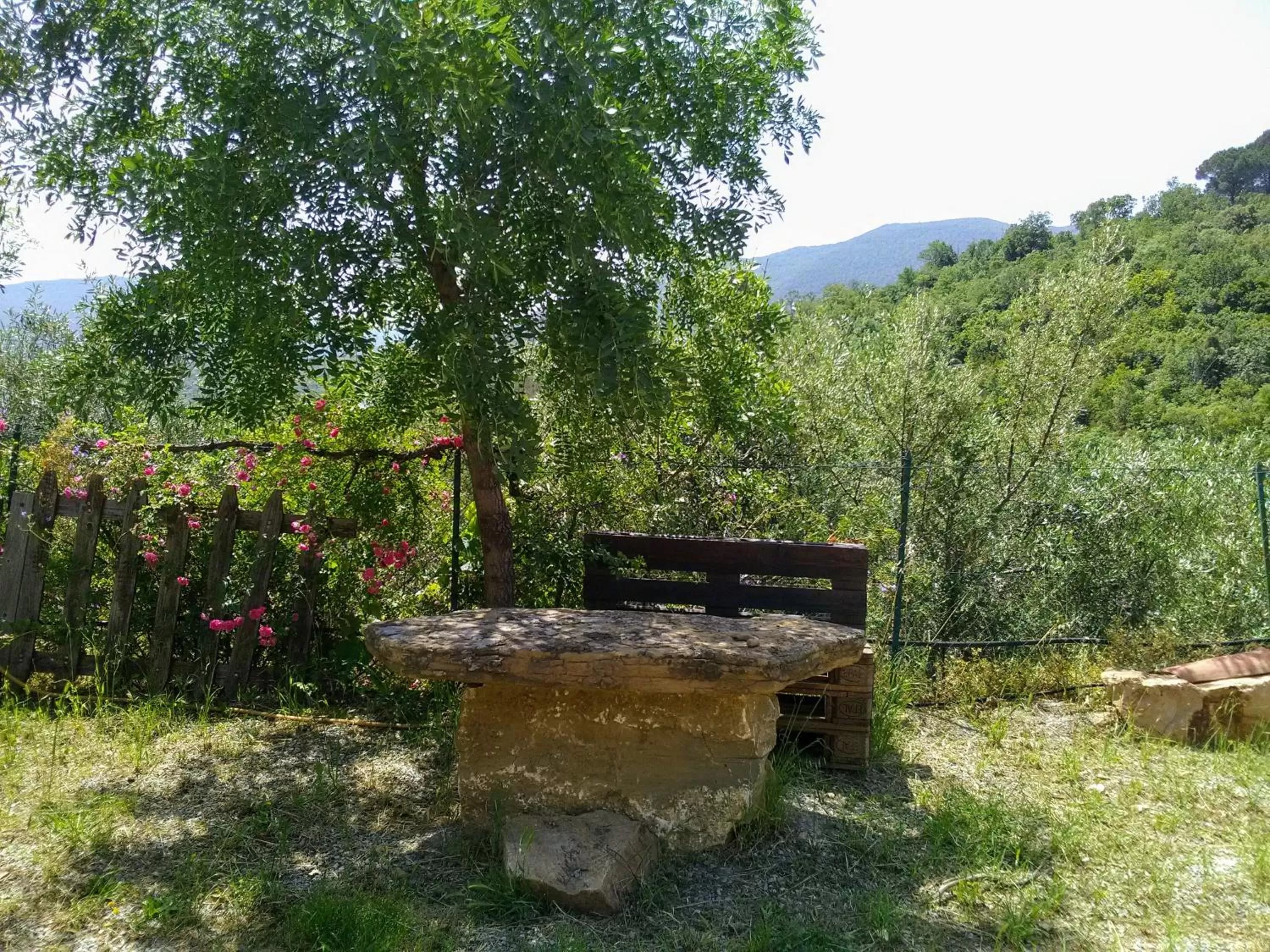 Garden in Villaggio dei Balocchi