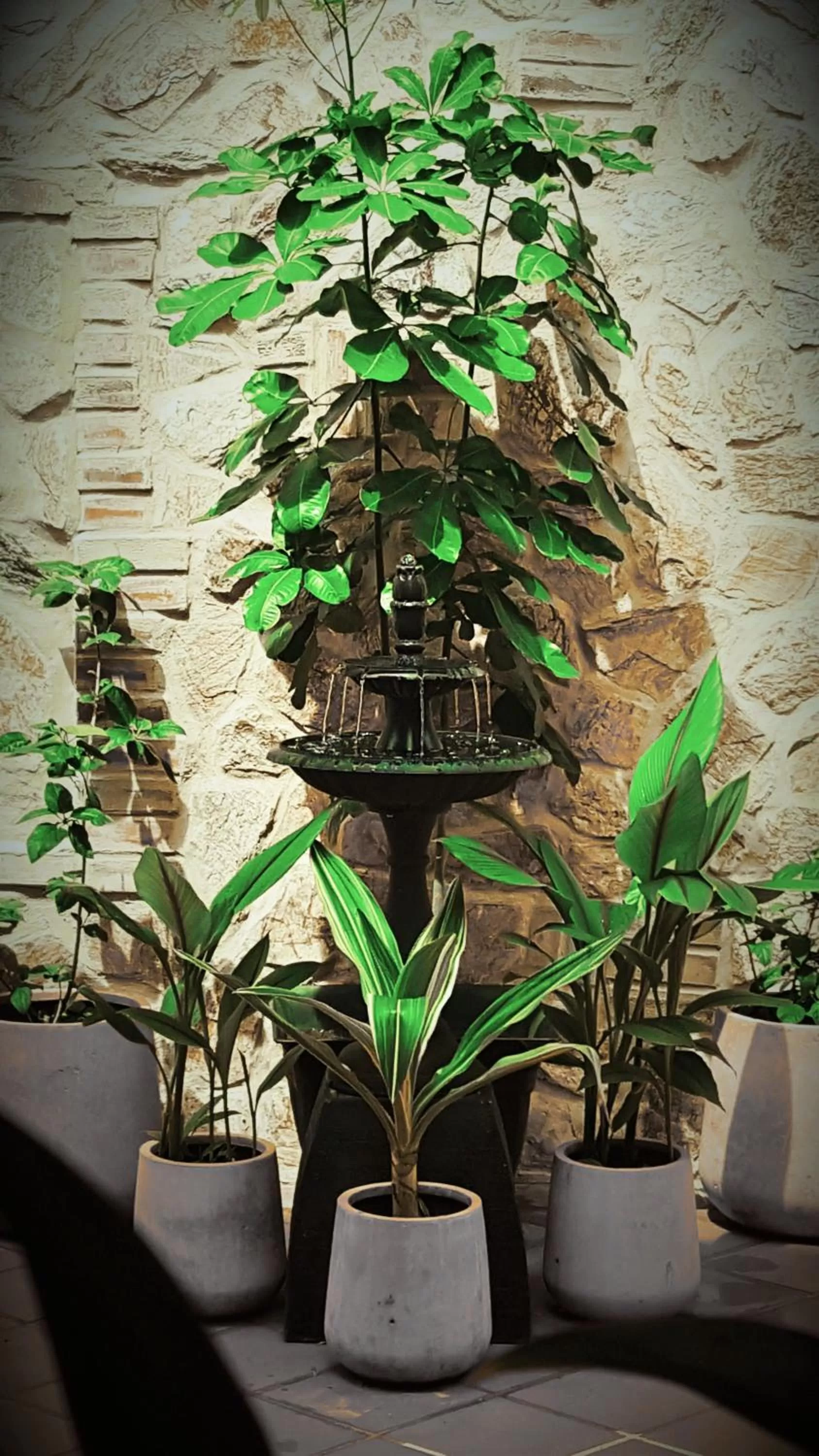 Balcony/Terrace in La Isabela Suites