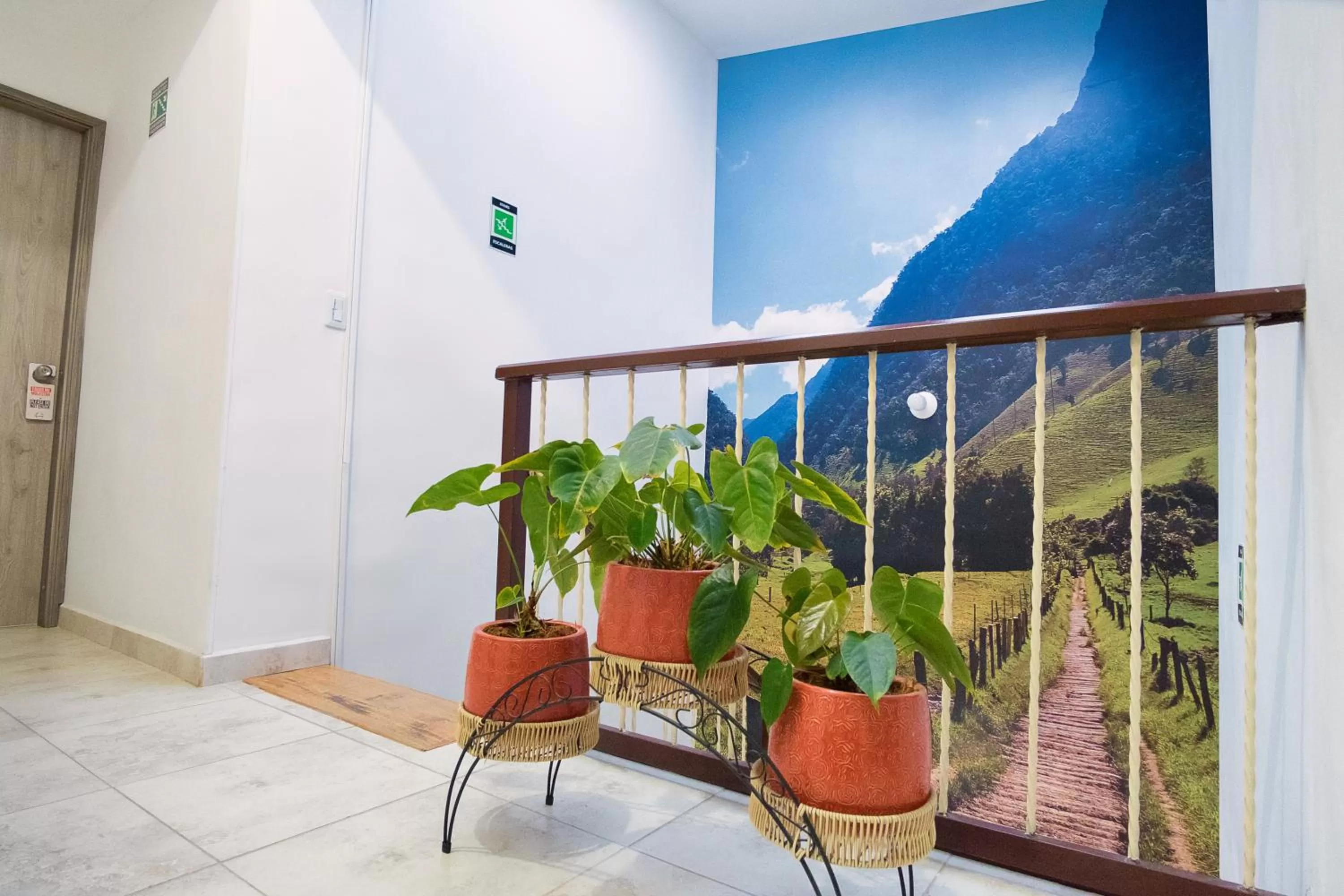 Area and facilities in Casa Borbon