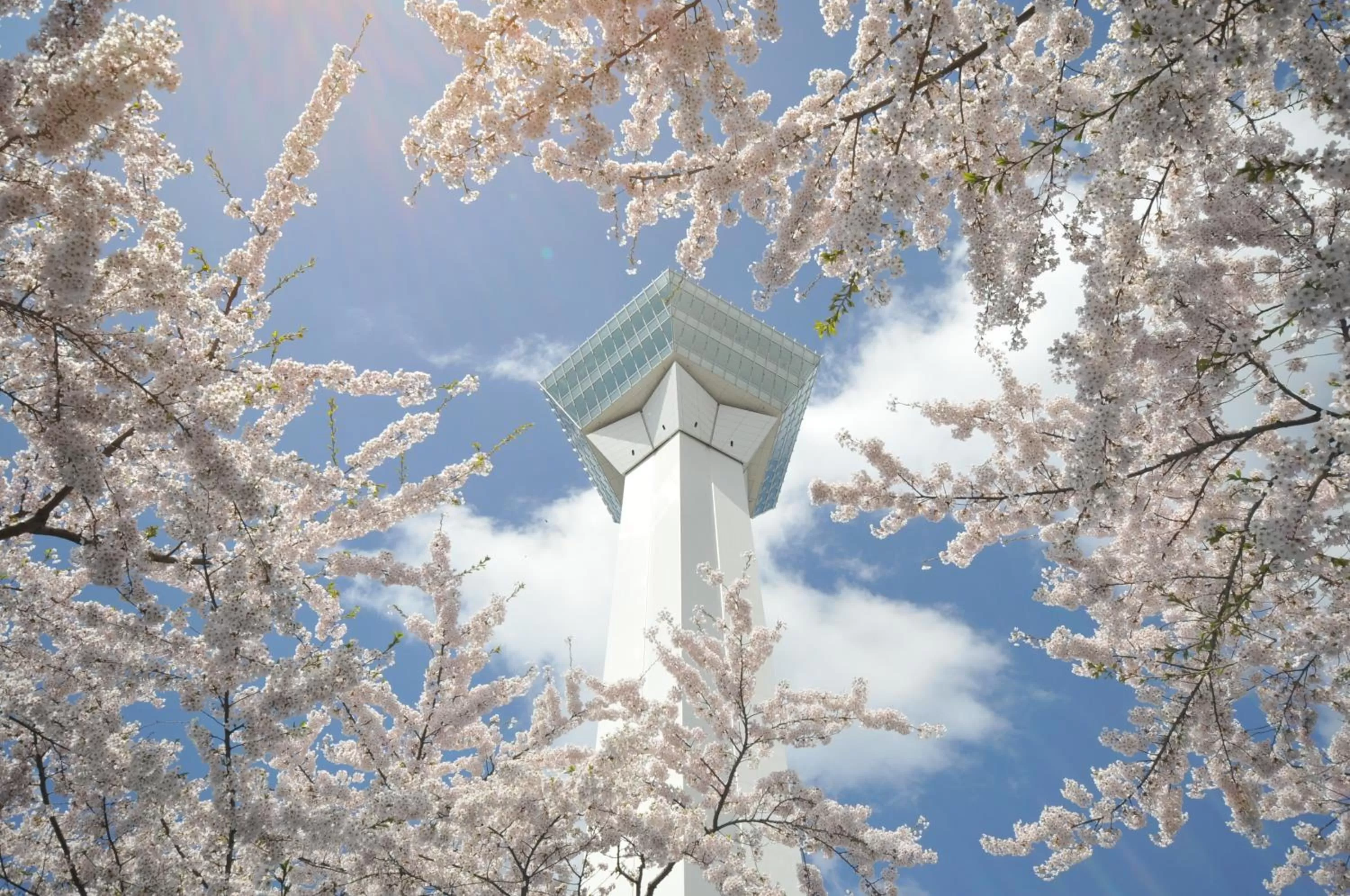 Nearby landmark in HOTEL MYSTAYS Hakodate Goryokaku