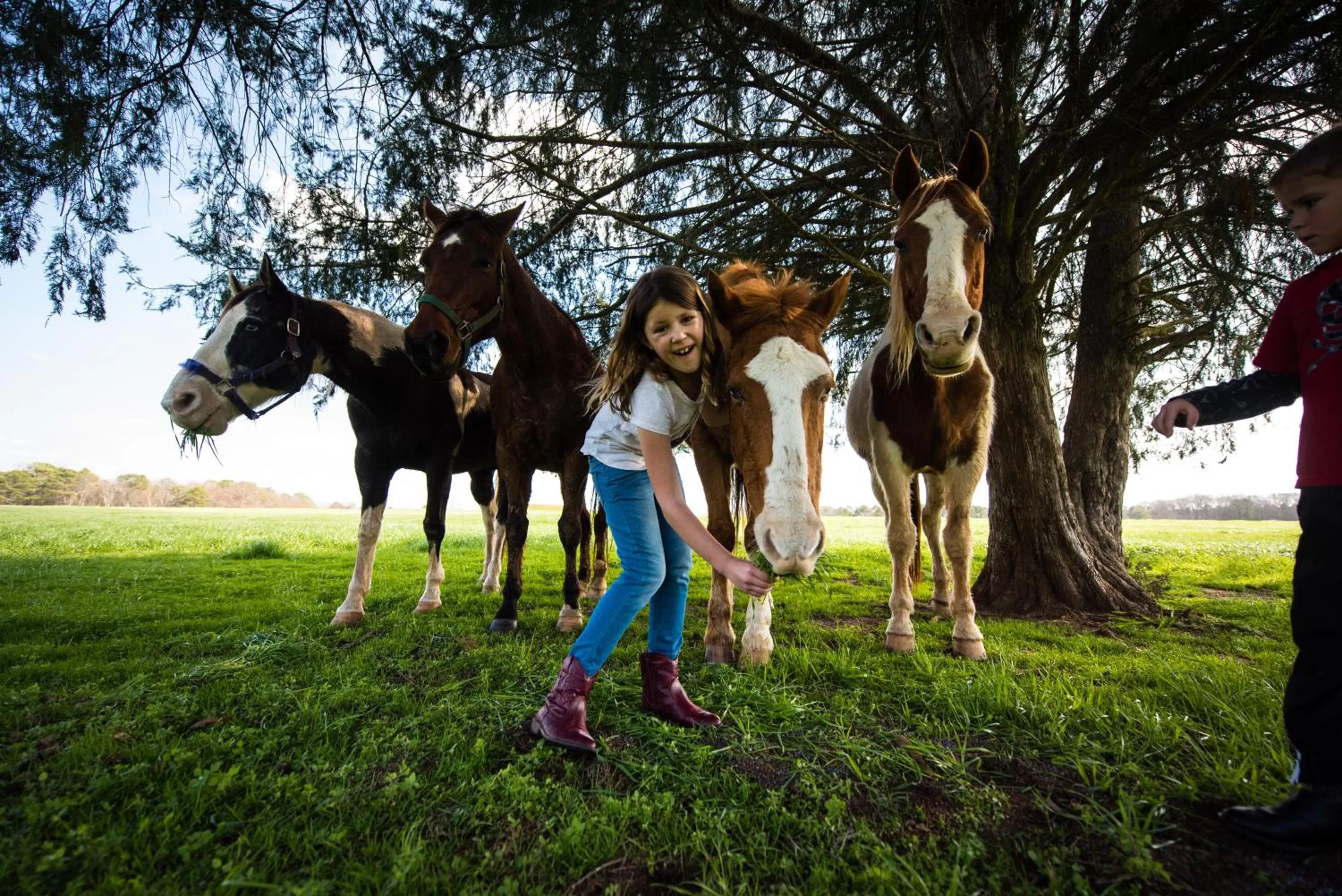 Animals in Southern Cross Guest Ranch