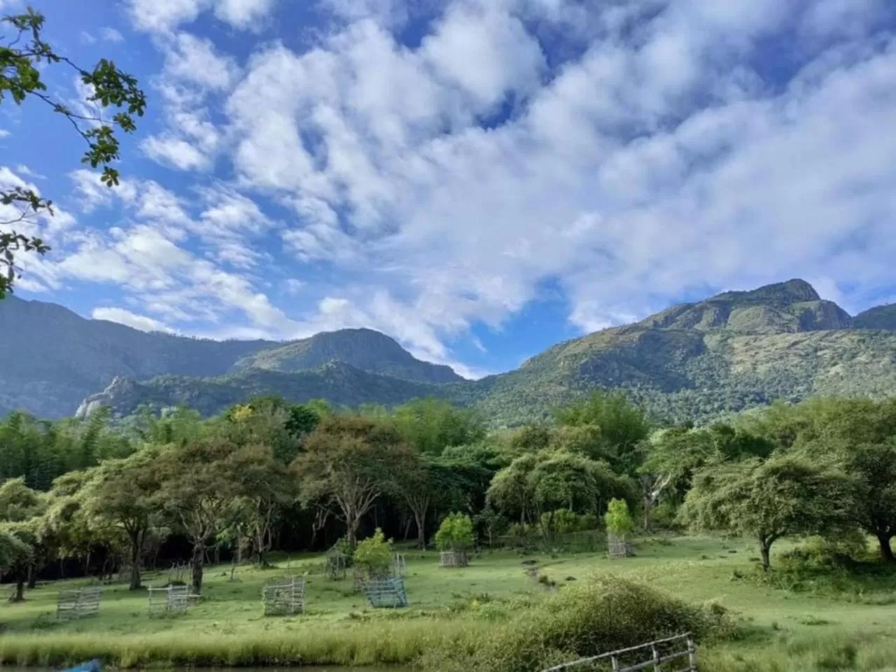 Natural landscape in Jungle Hut Resort