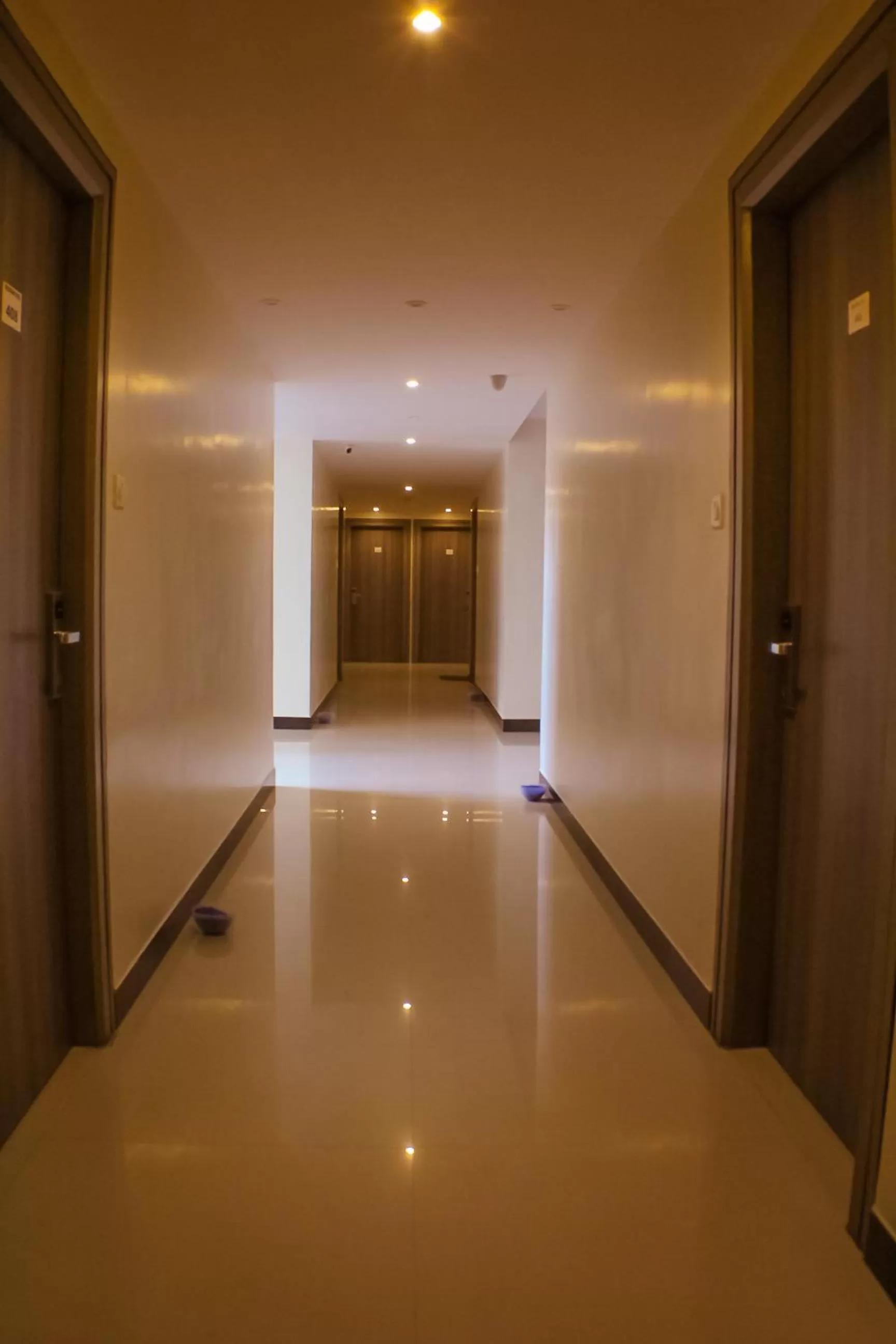 Other in The Pioneer