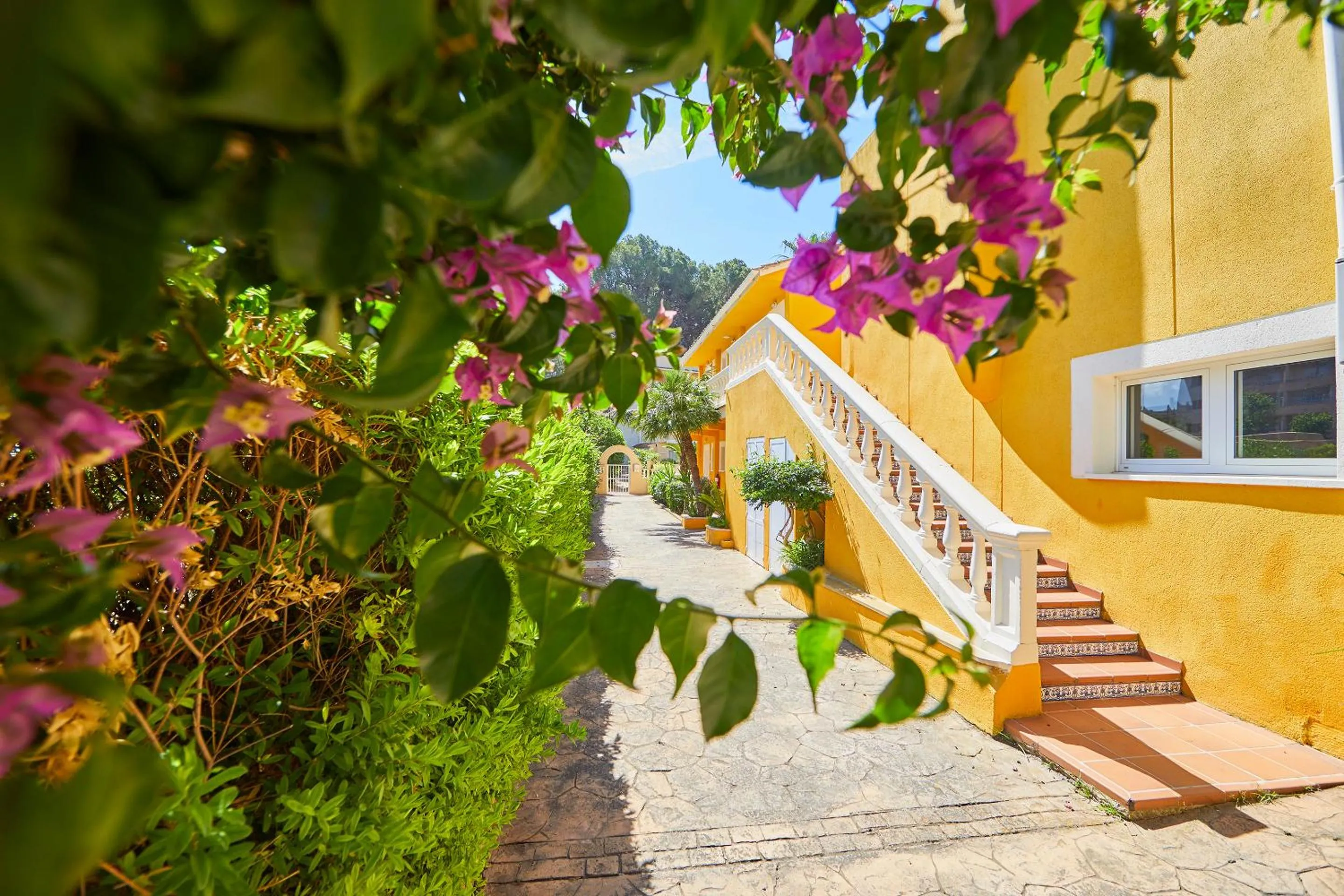 Day in Hotel Cupidor