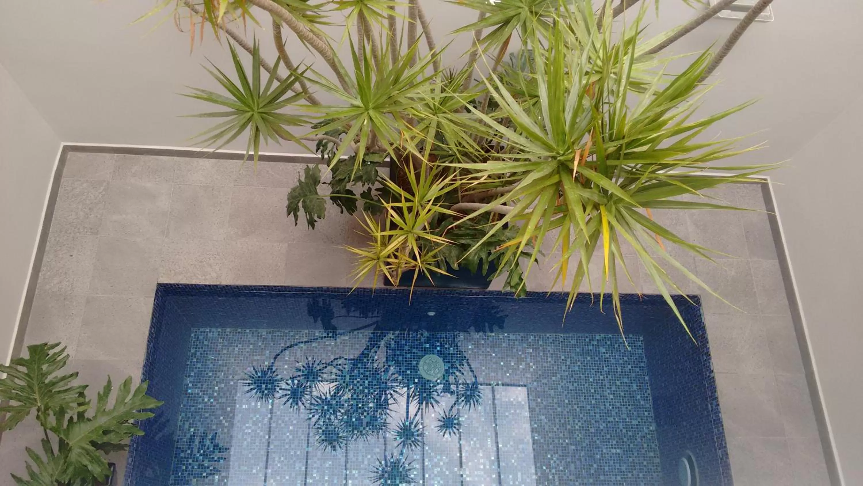 Pool view in Hotel 5 de Mayo