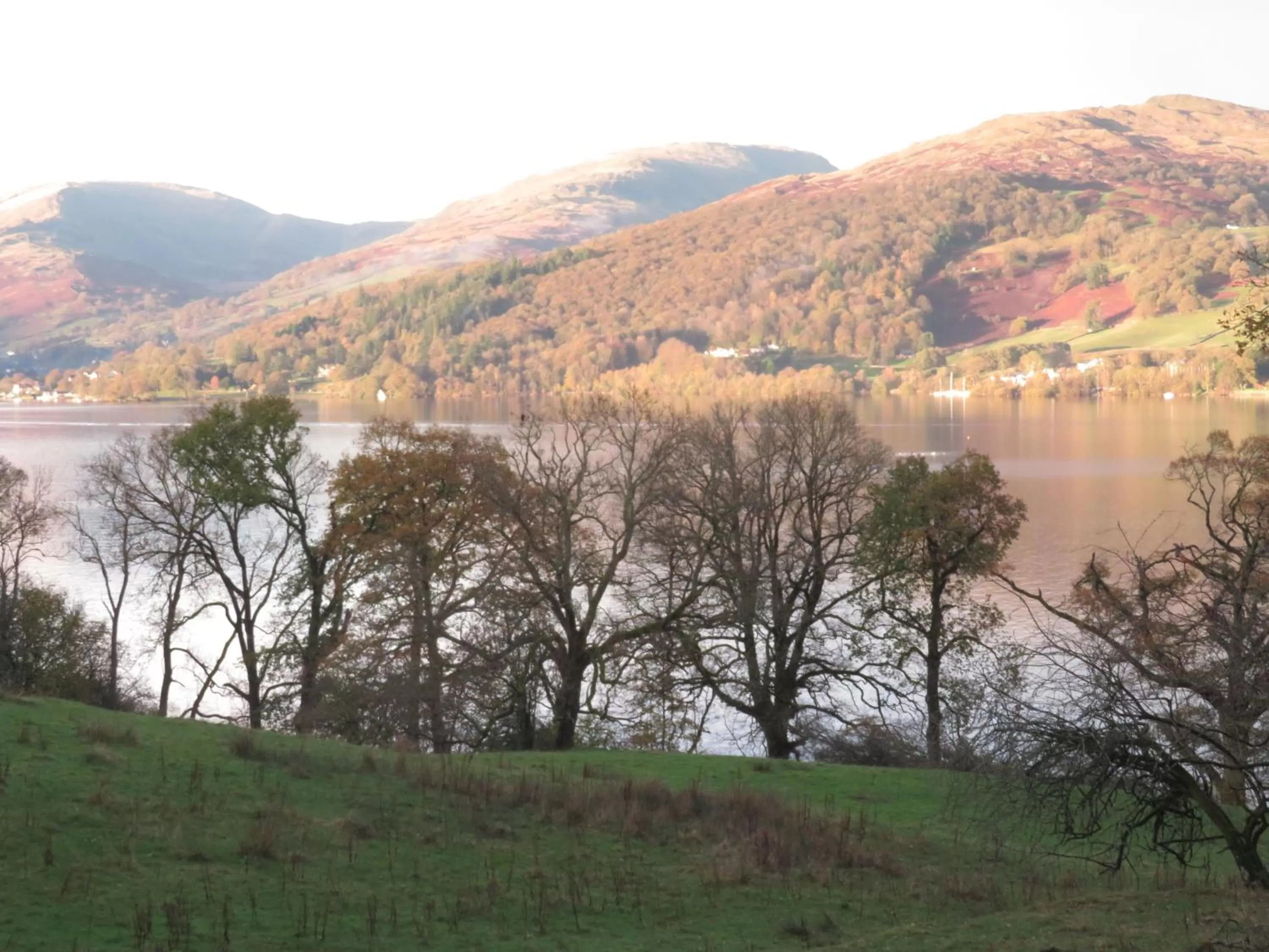 Mountain View in Slack Cottage