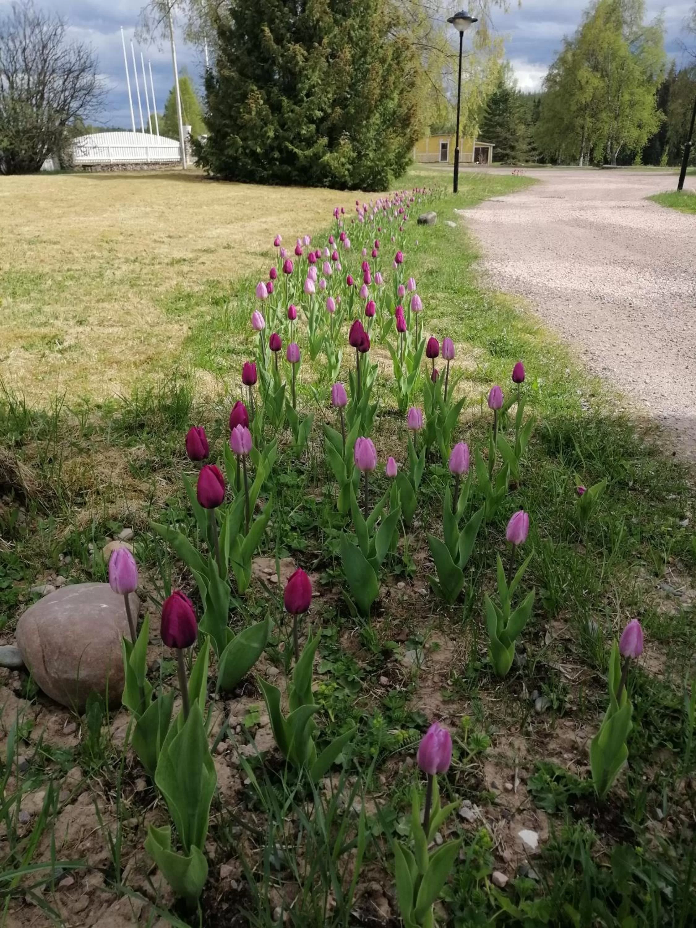 Garden in Värdshuset Lugnet