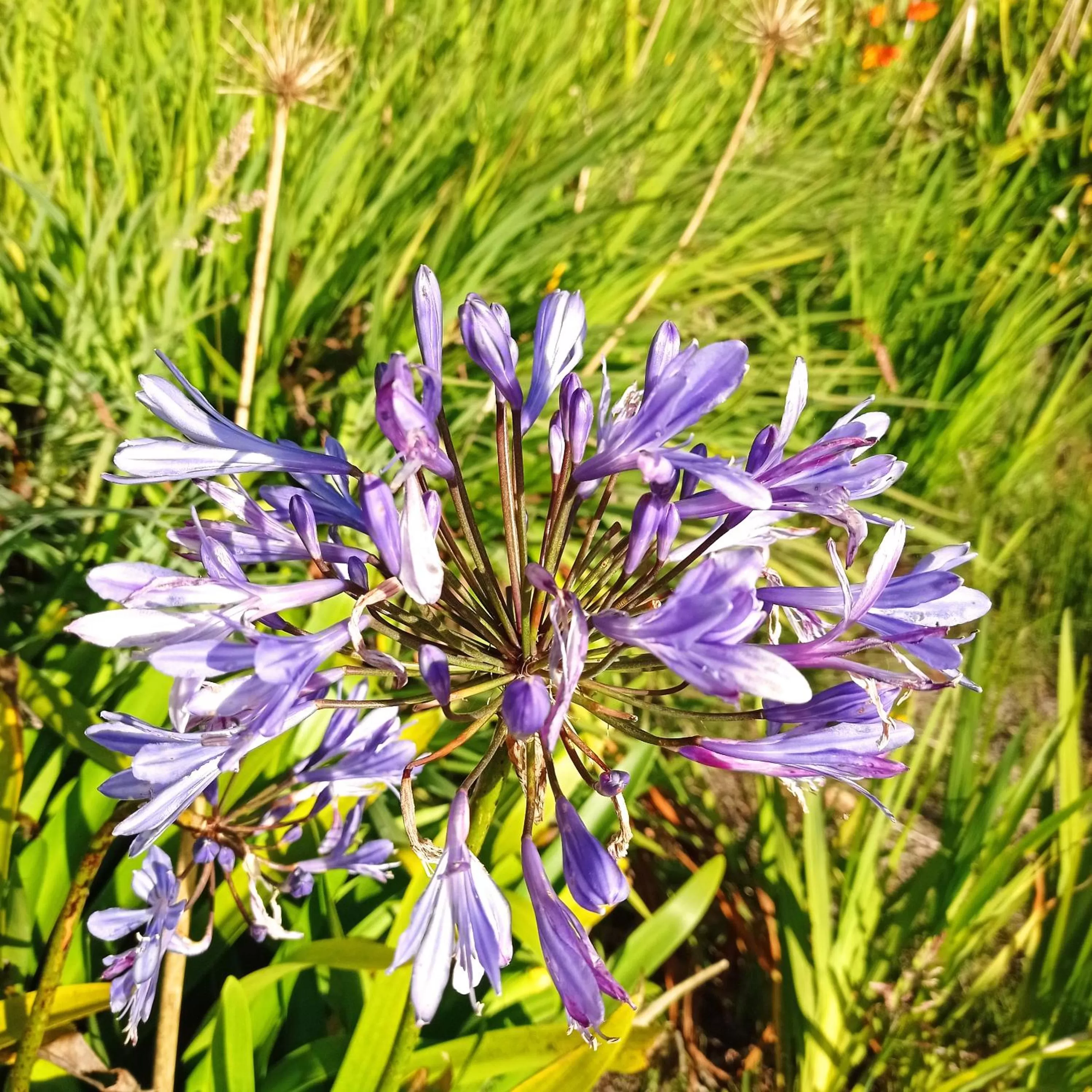 Hotel Refugio Pozo Azul