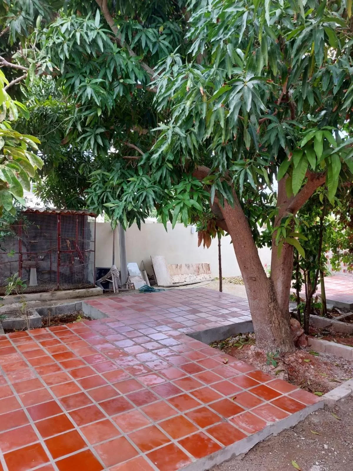 Curasita colour Appartments