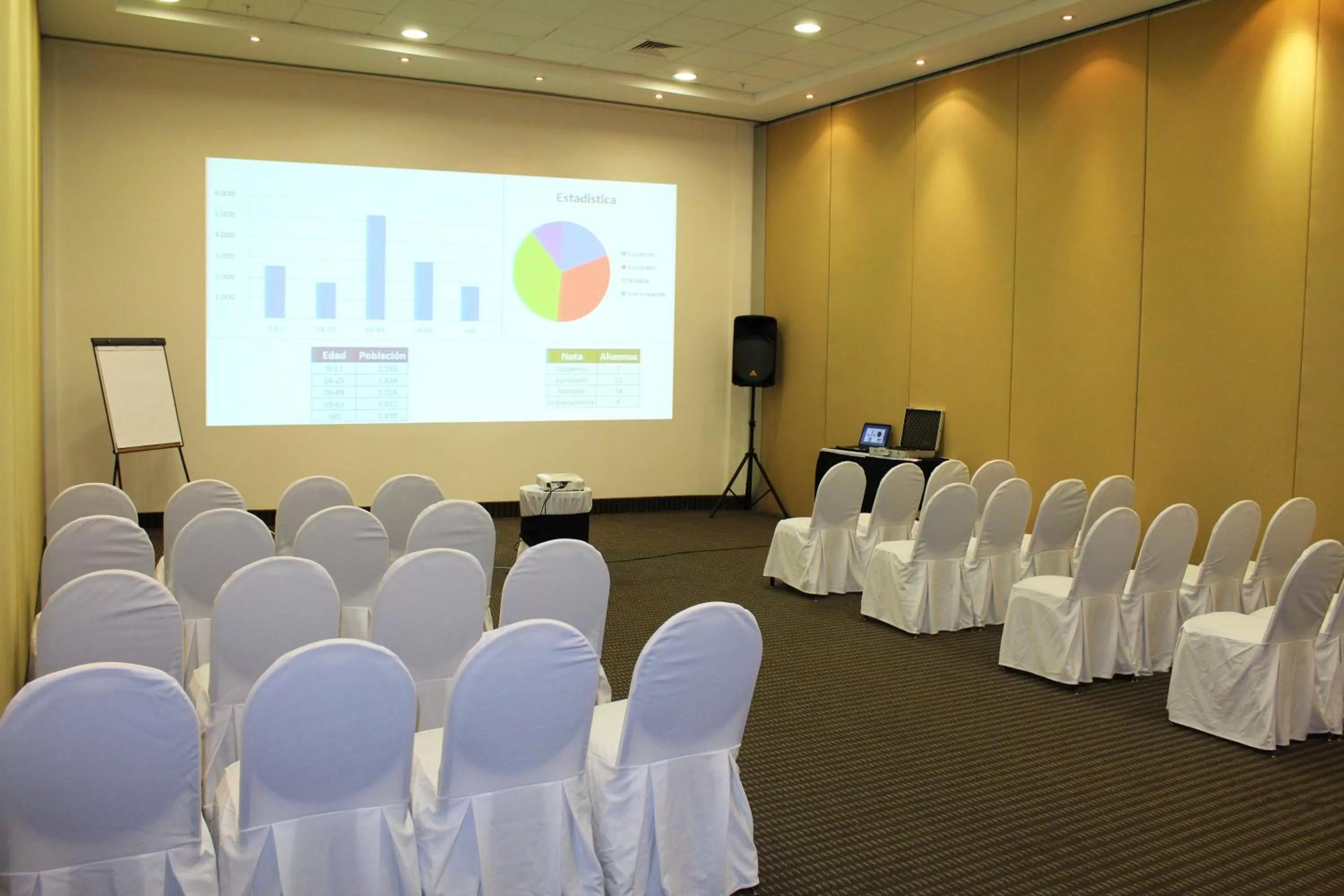Meeting/conference room in Holiday Inn Express Mérida by IHG