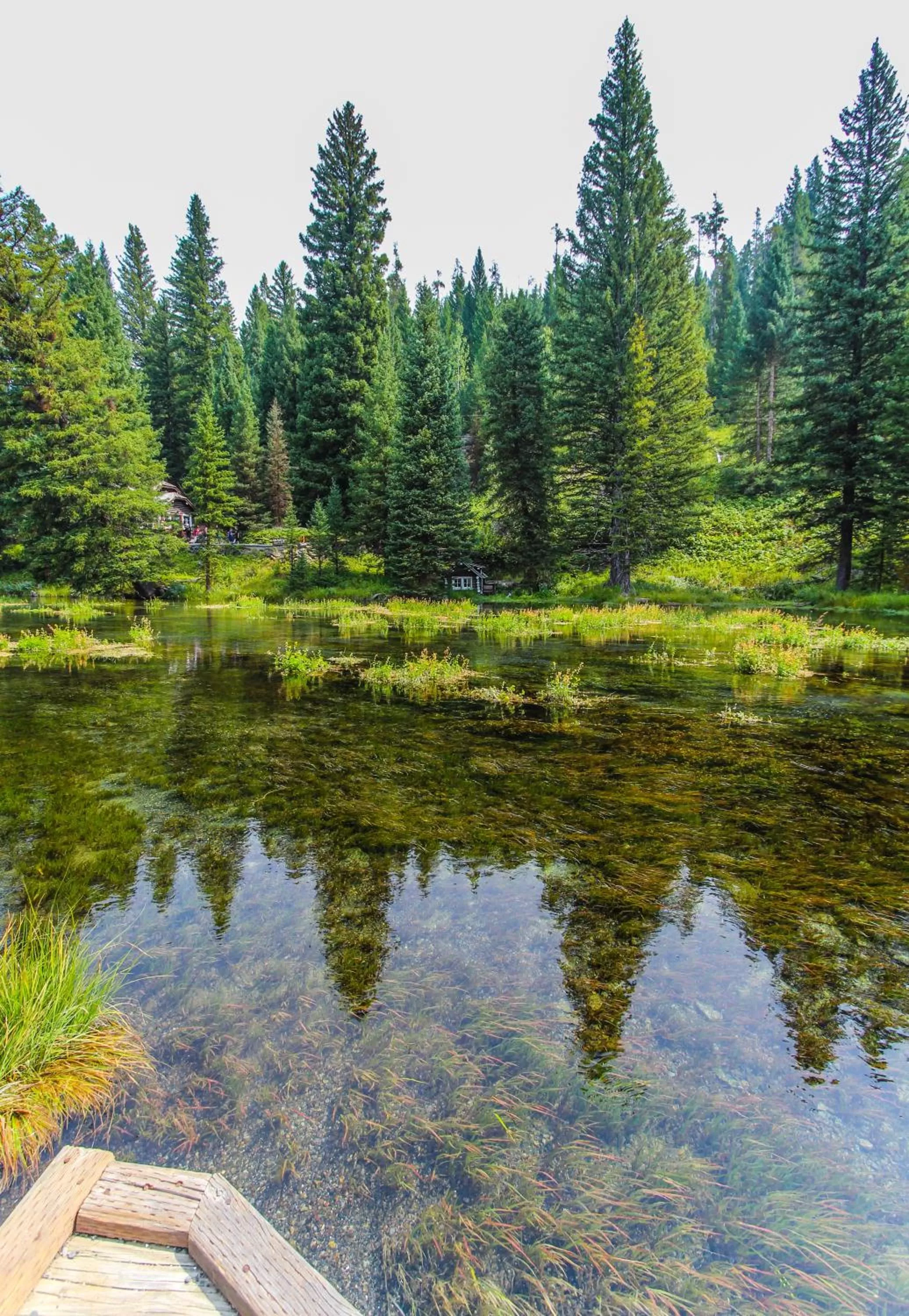 Spring in Timbers at Island Park