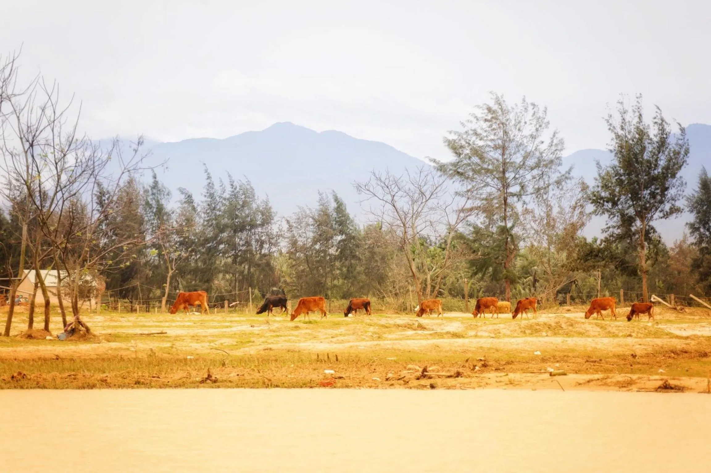 Nearby landmark in Riverside Hamlet Homestay & Villa