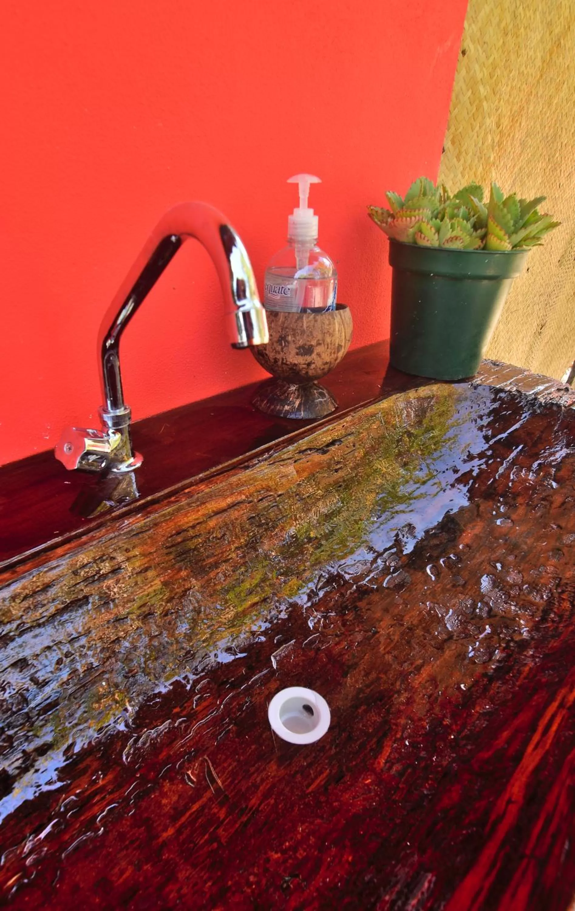 Toilet in Mayan Spirit