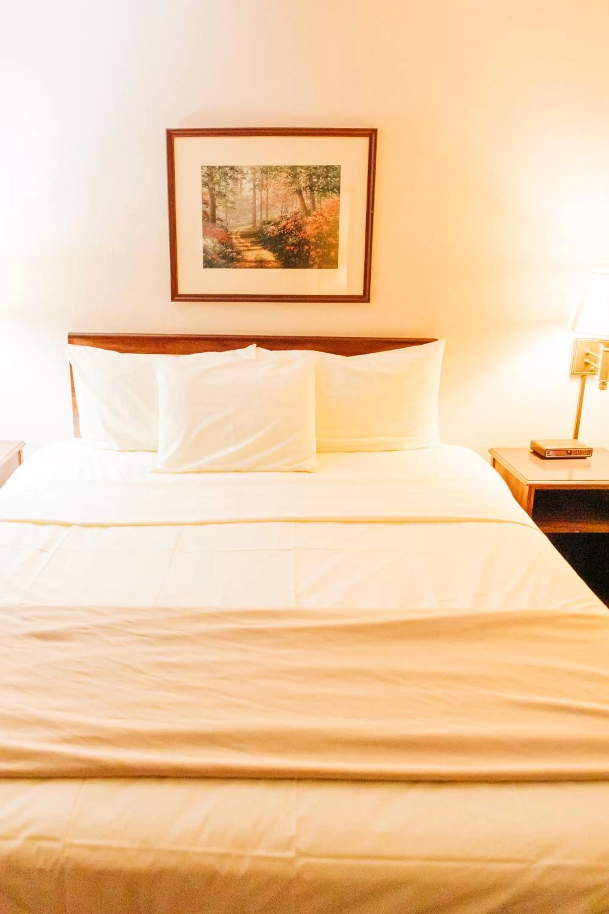 Bed in Quincy INN and Suites