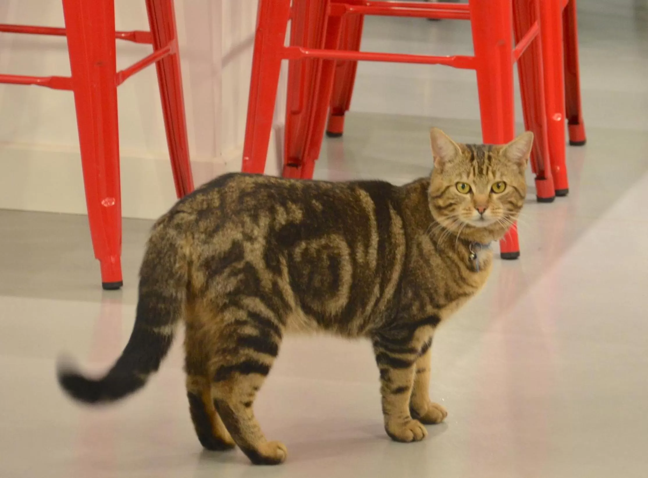 Staff in Eklo Hotels Le Mans