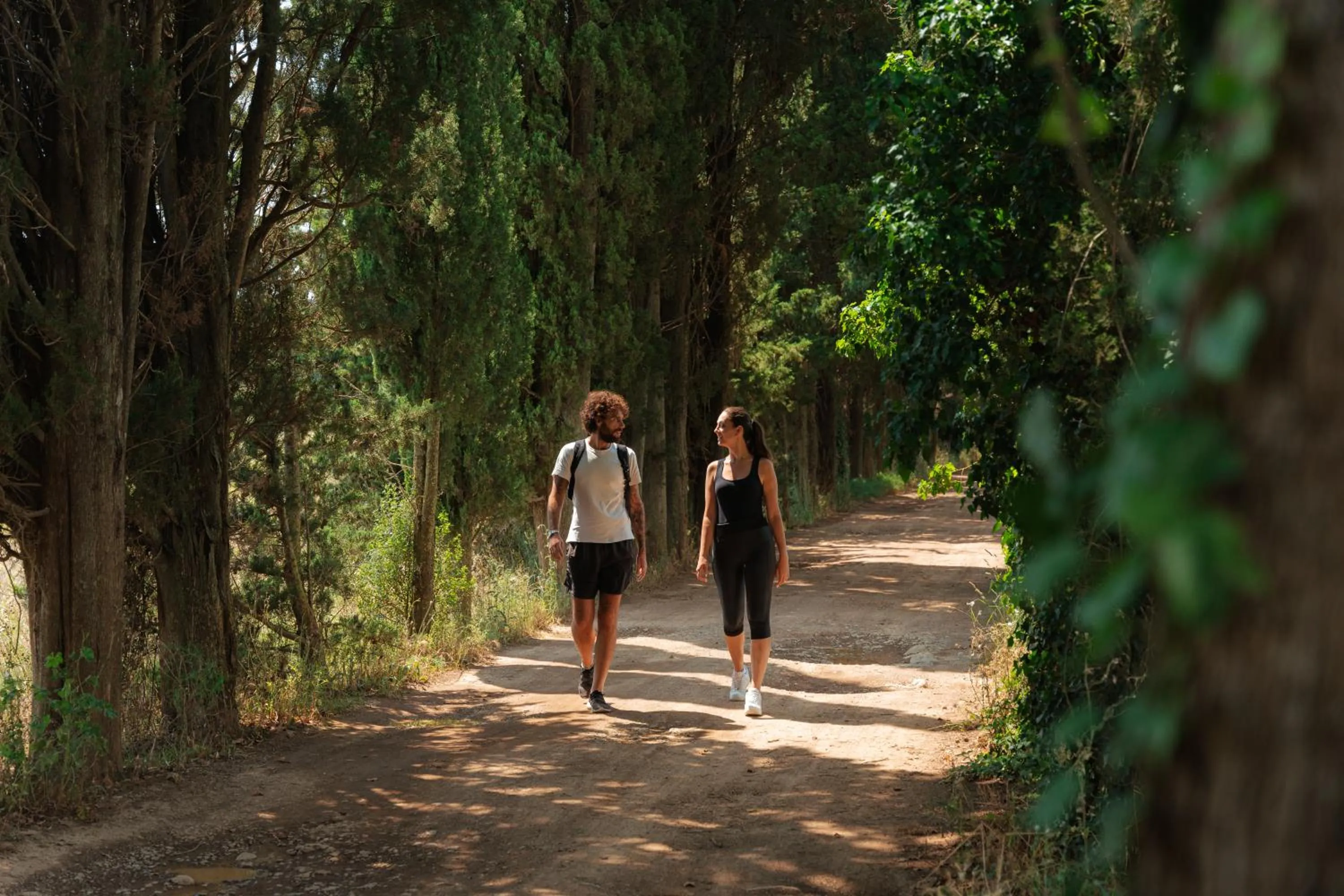 Natural landscape in I Cinque Pini