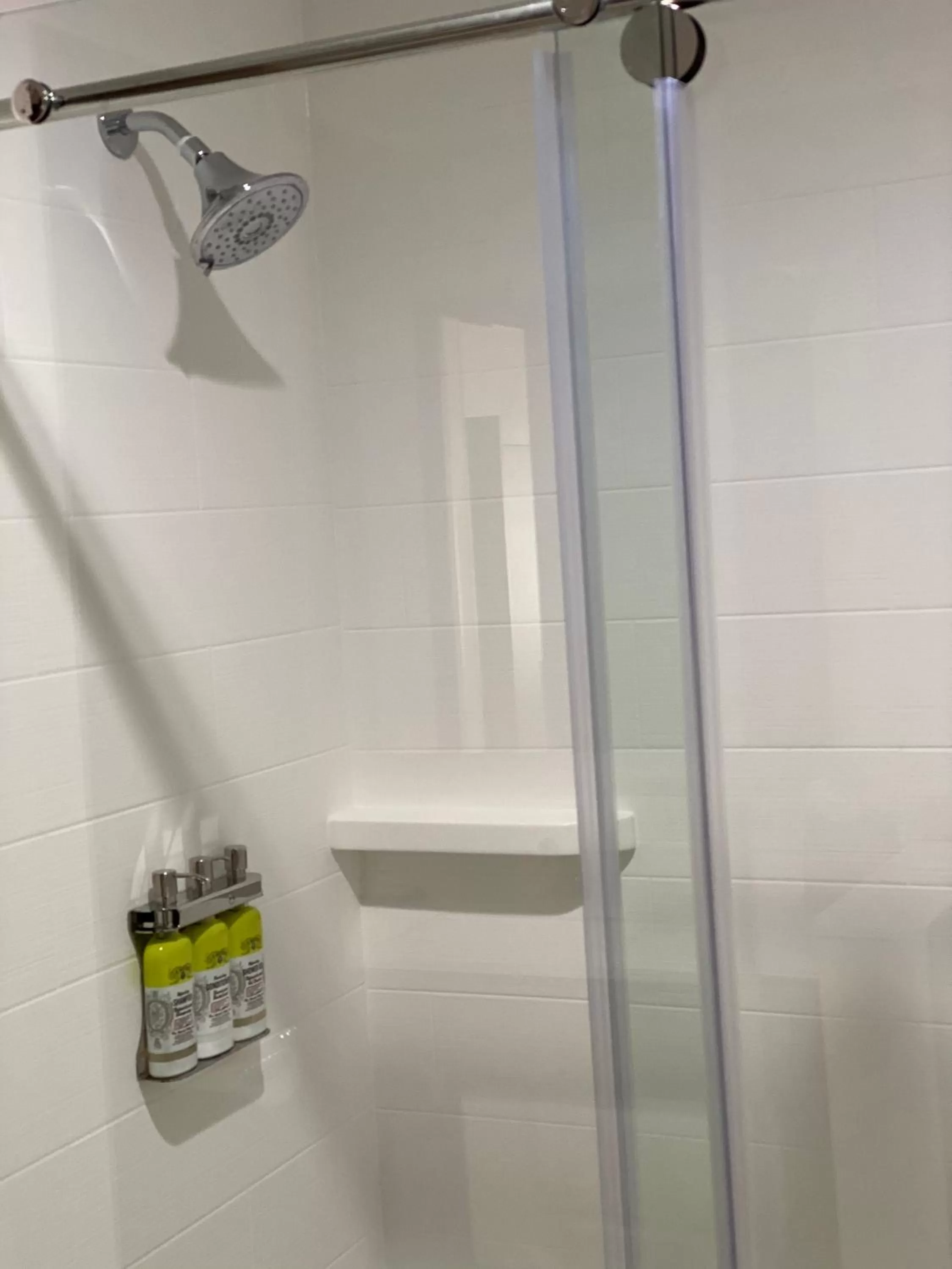 Shower in Holiday Inn Express & Suites Chatsworth by IHG